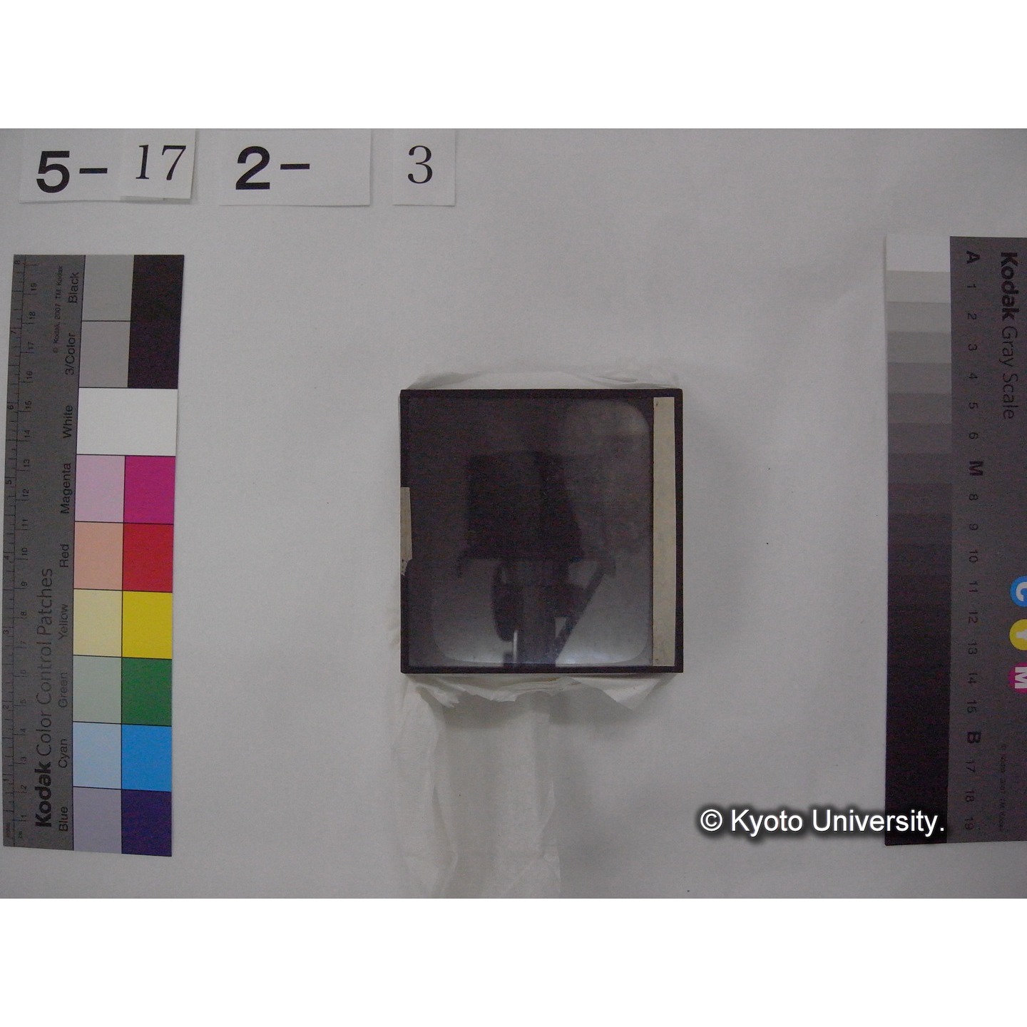 スライド(ガラス種板) (11)