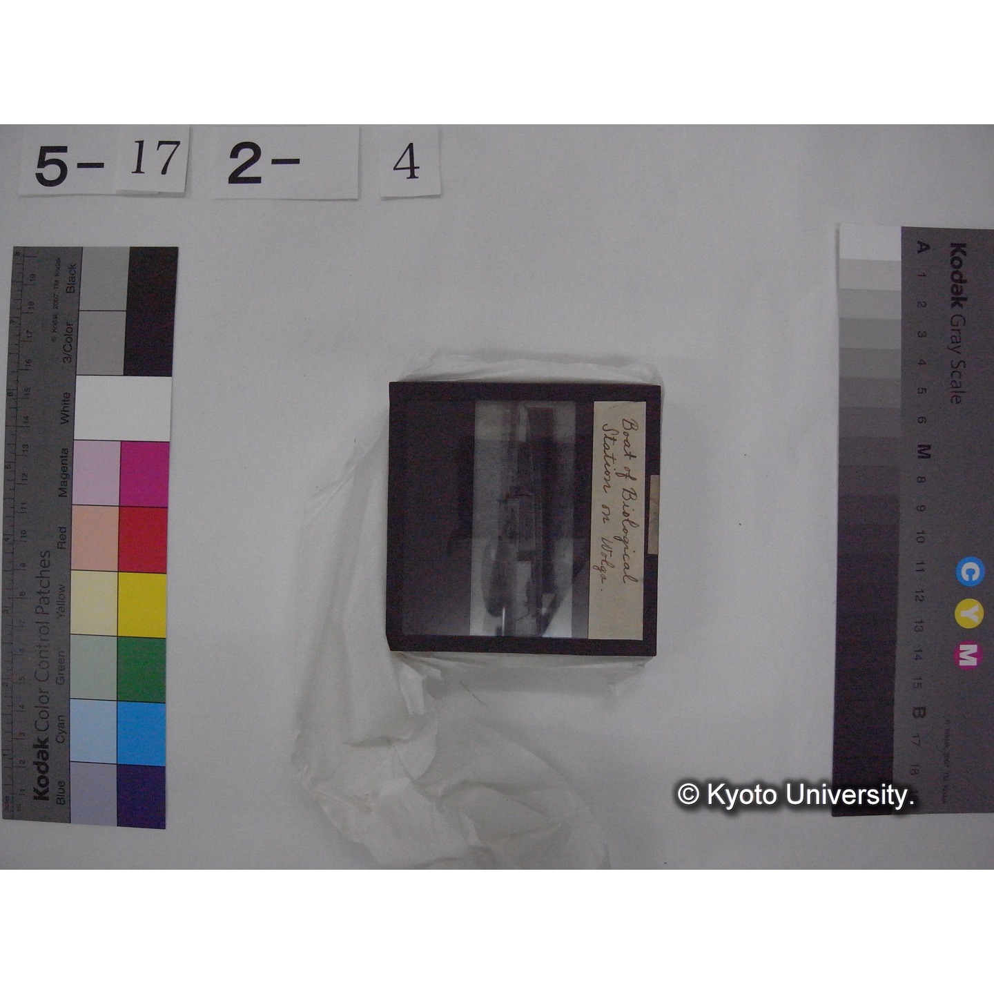 スライド(ガラス種板) (12)