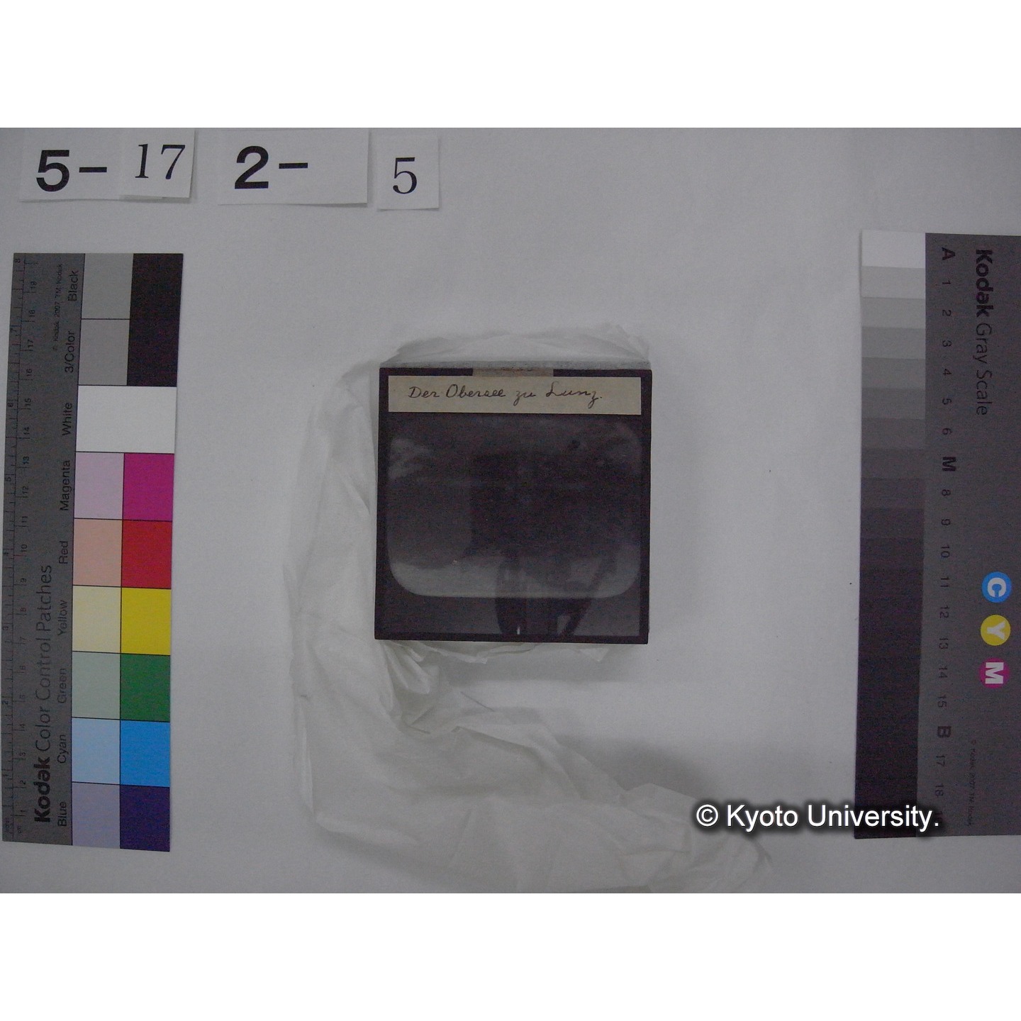 スライド(ガラス種板) (13)