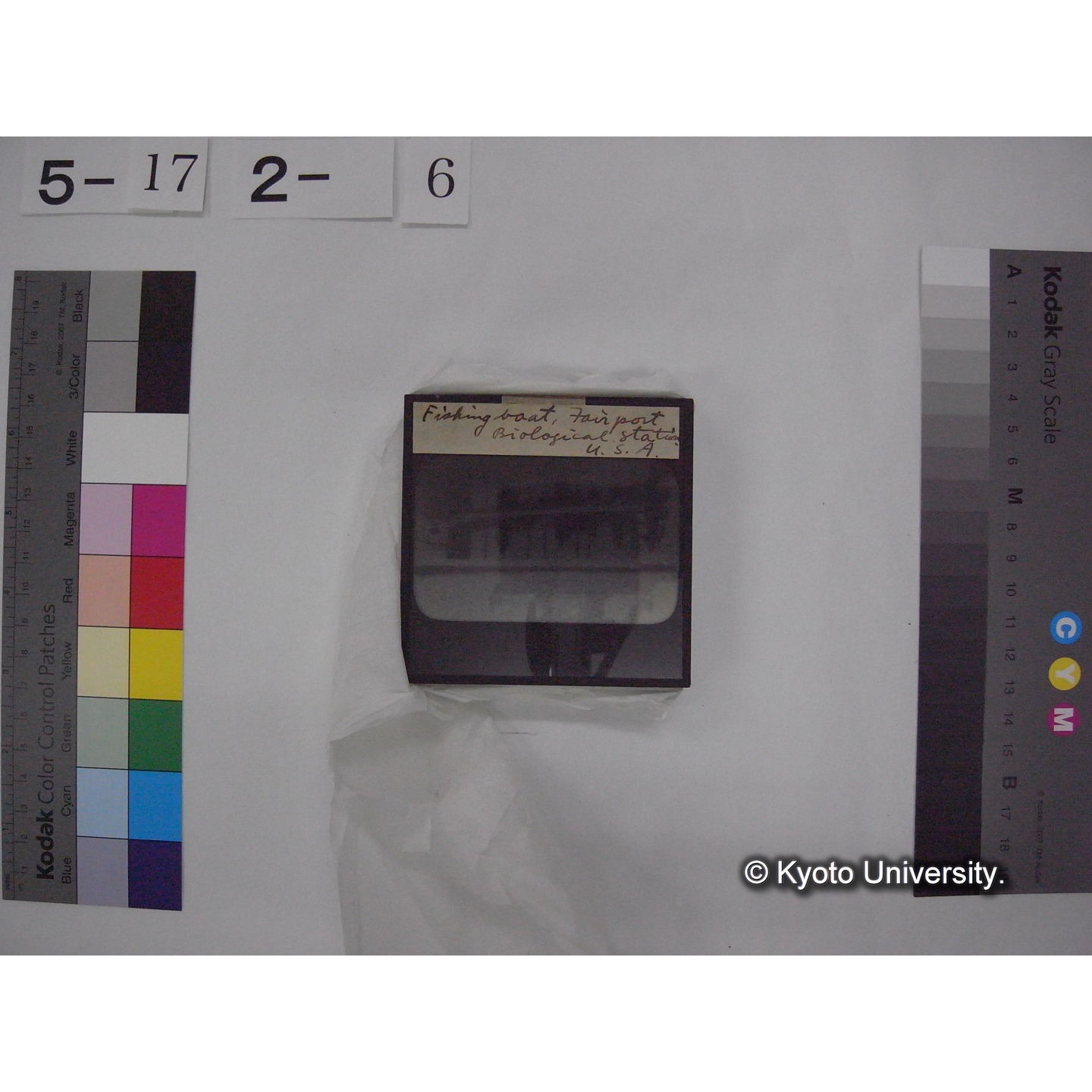 スライド(ガラス種板) (14)