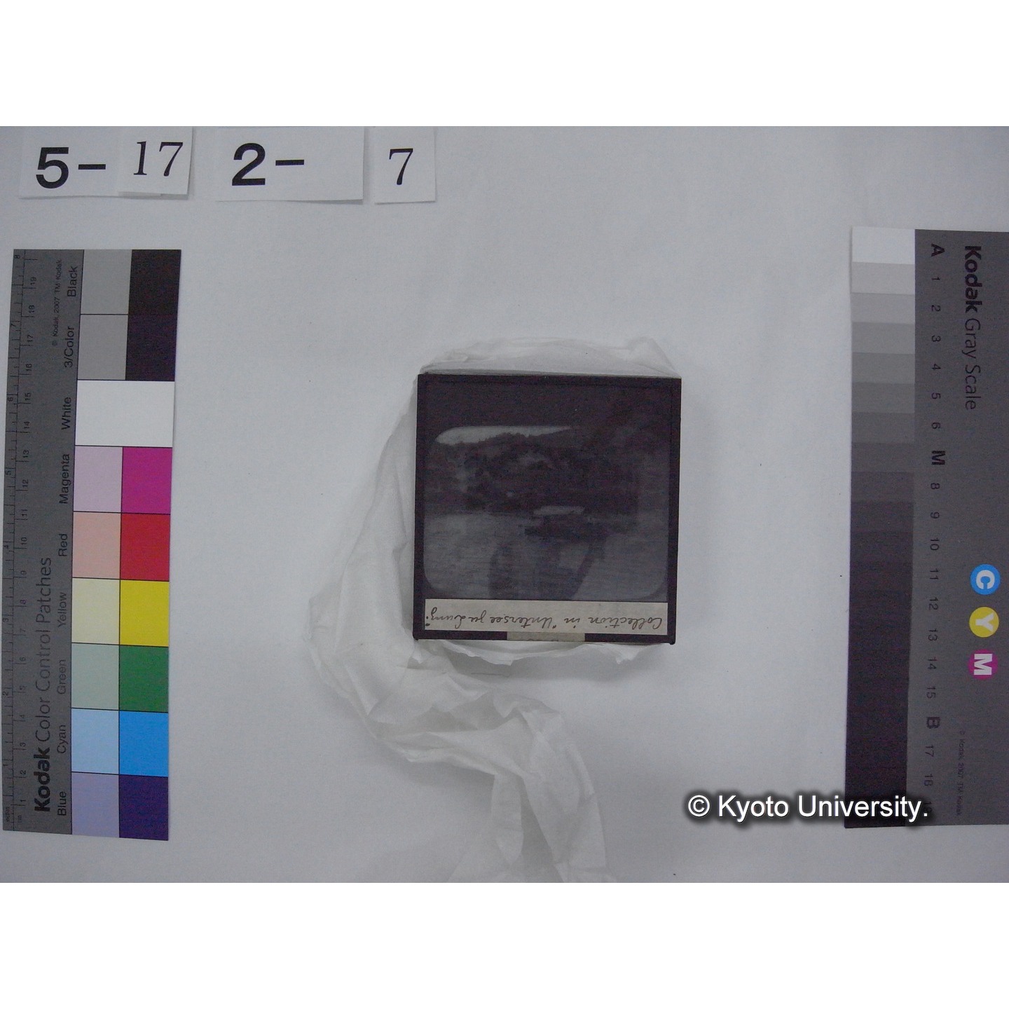 スライド(ガラス種板) (15)