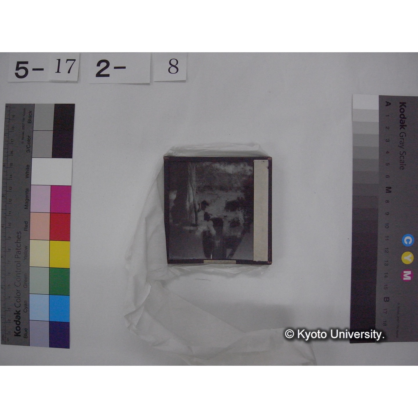 スライド(ガラス種板) (16)