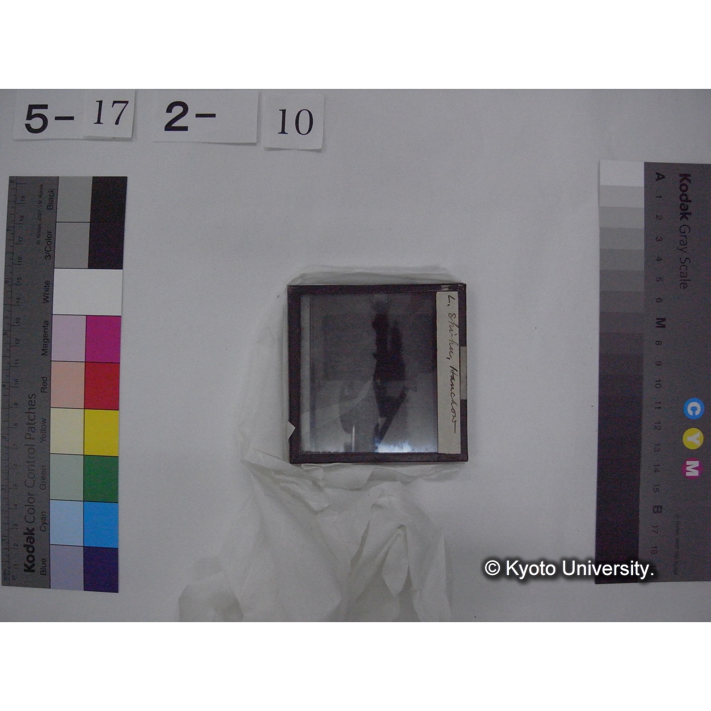 スライド(ガラス種板) (18)