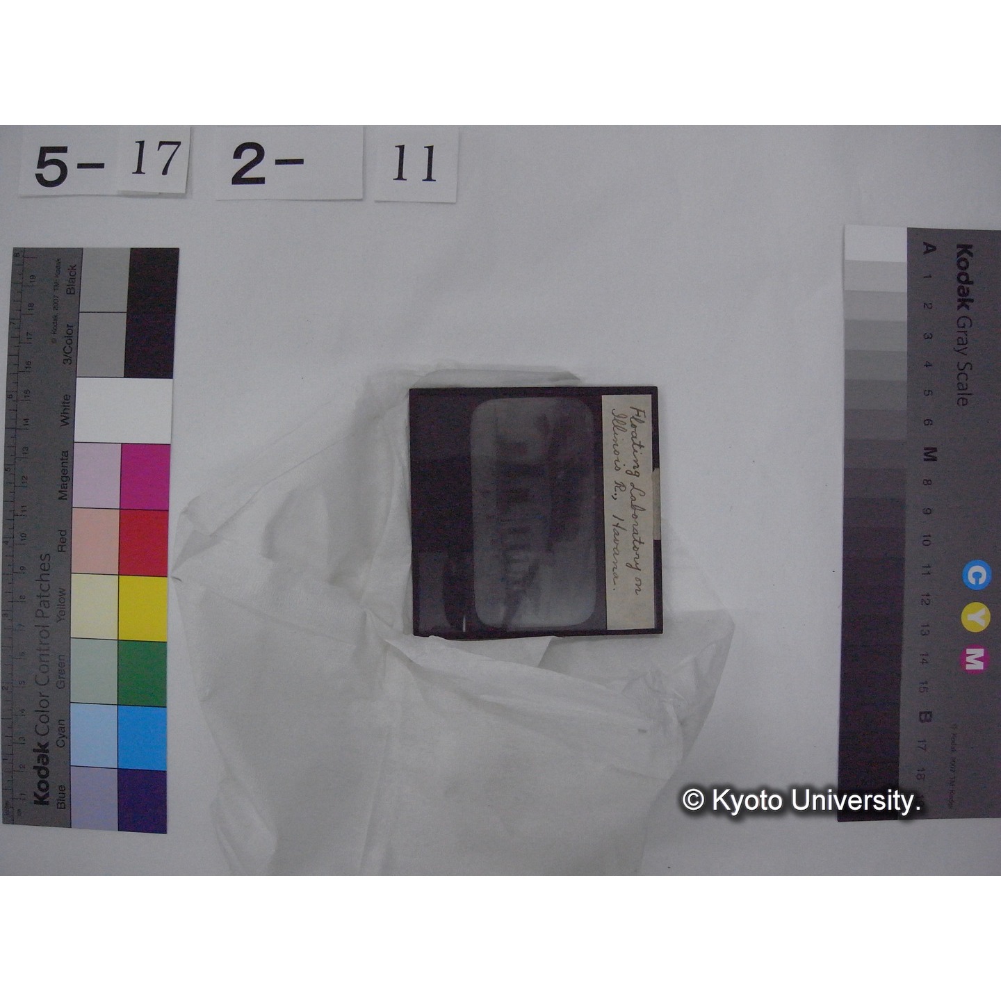 スライド(ガラス種板) (19)