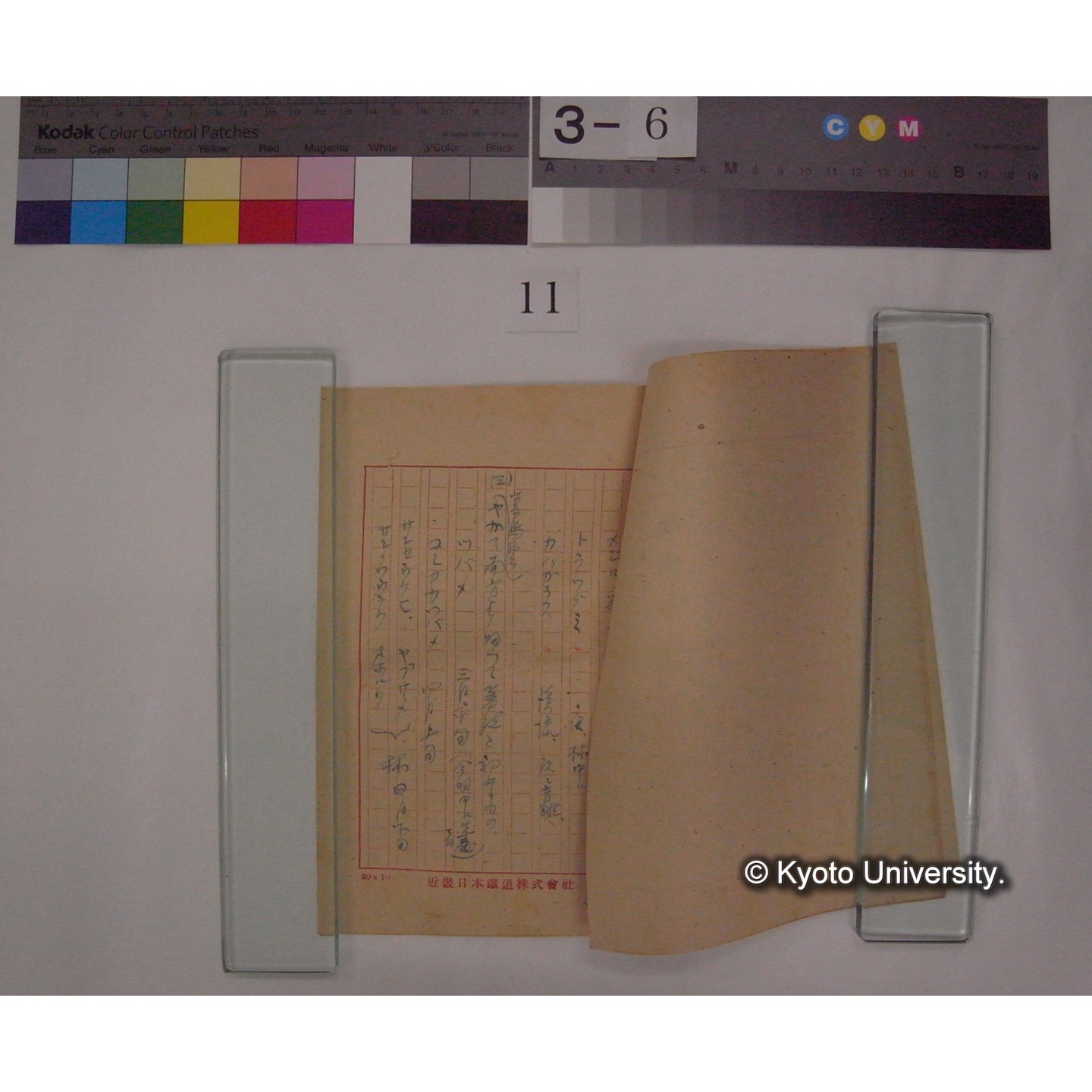 滋賀県の鳥 / 川村多實二 [直筆原稿] (3)