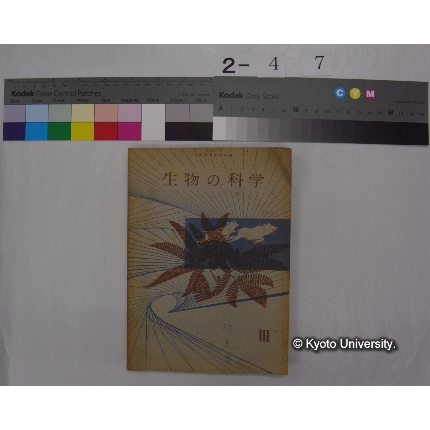 生物の科学 3 : 高等学校用生物教科書 / 文部省 (1)