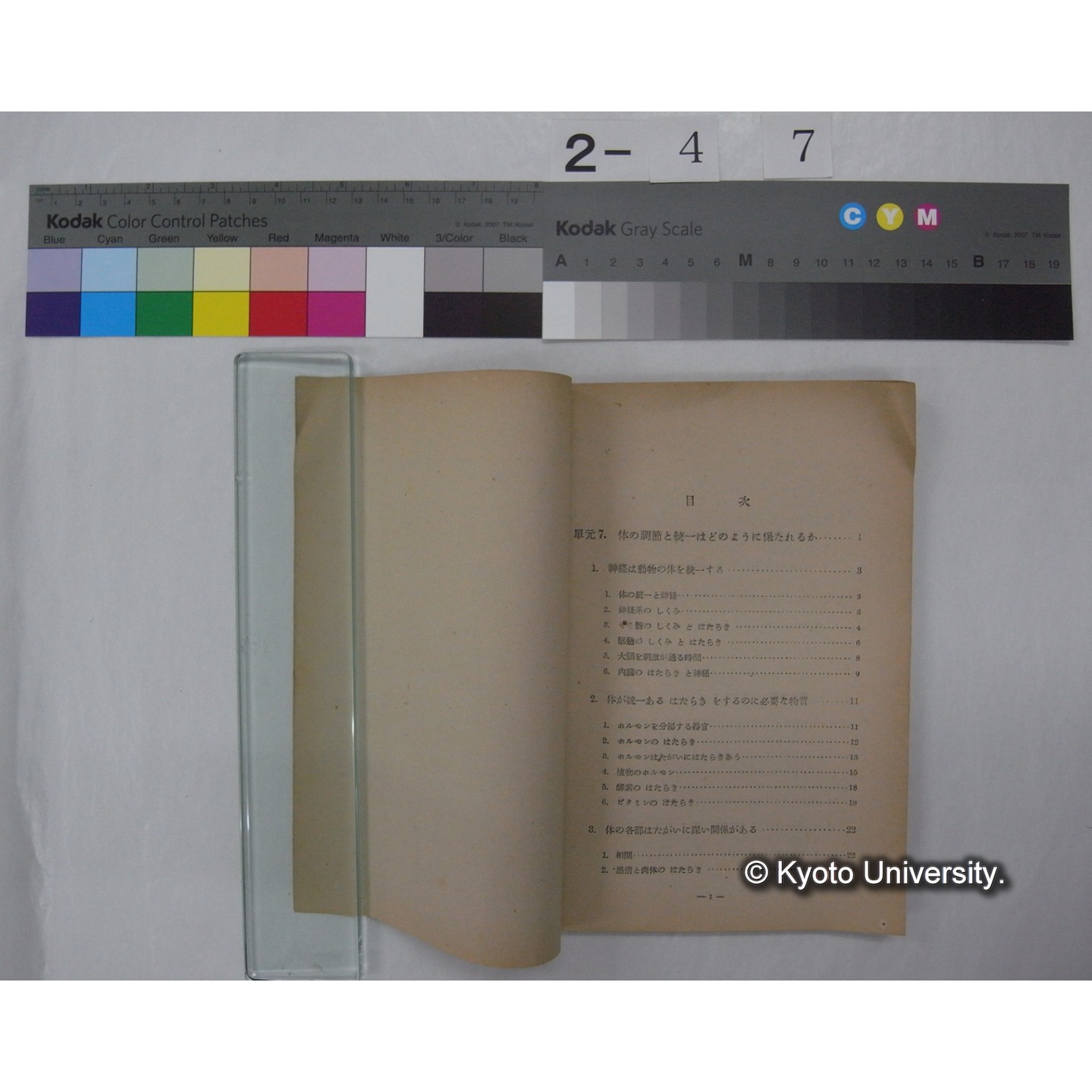 生物の科学 3 : 高等学校用生物教科書 / 文部省 (2)