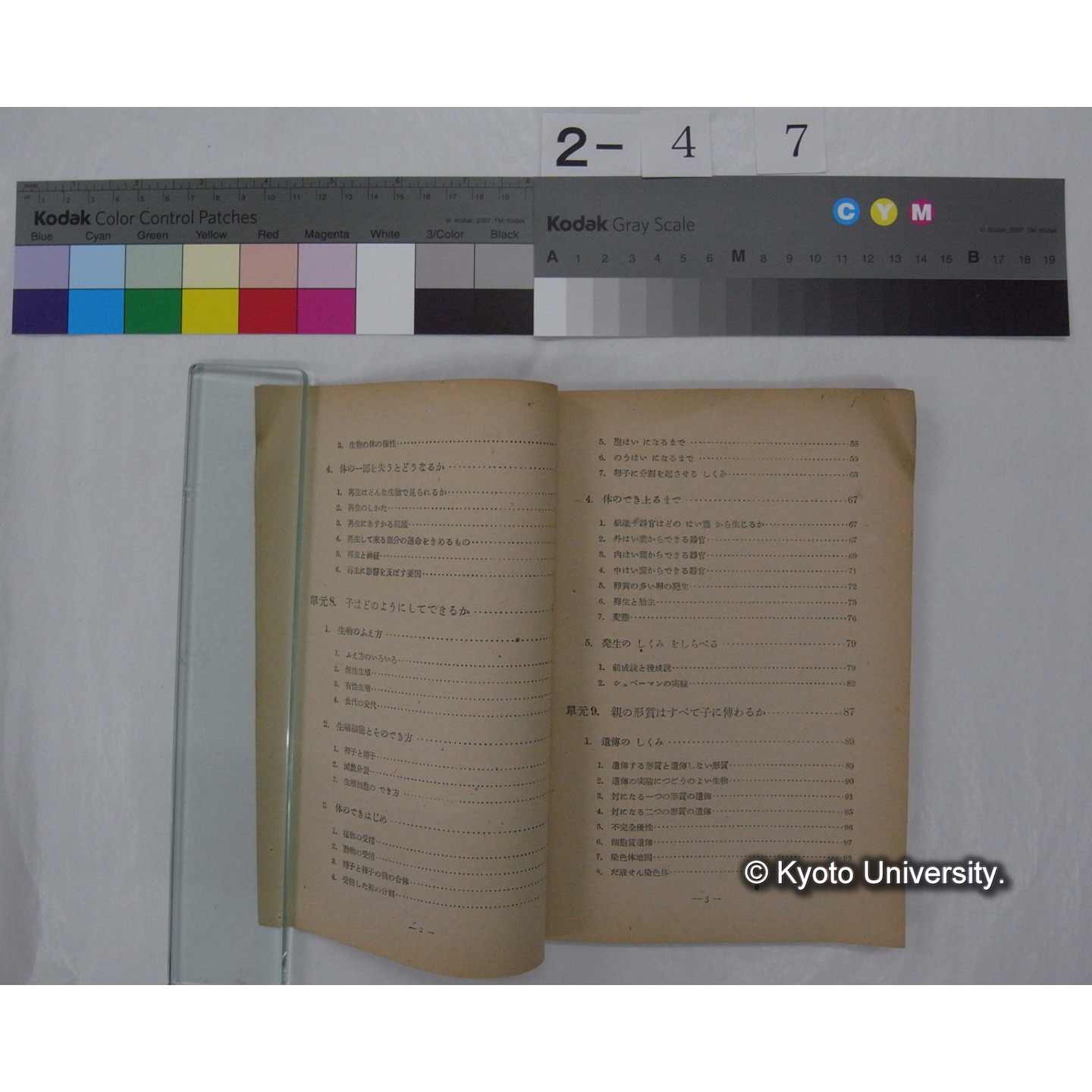 生物の科学 3 : 高等学校用生物教科書 / 文部省 (3)