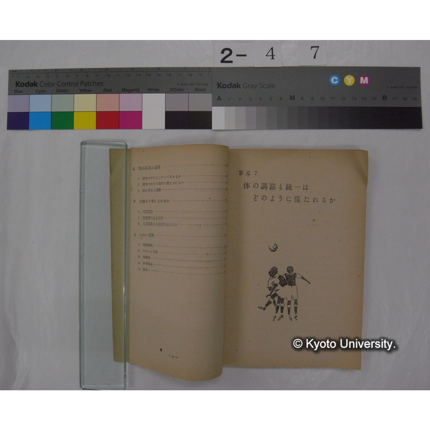 生物の科学 3 : 高等学校用生物教科書 / 文部省 (4)