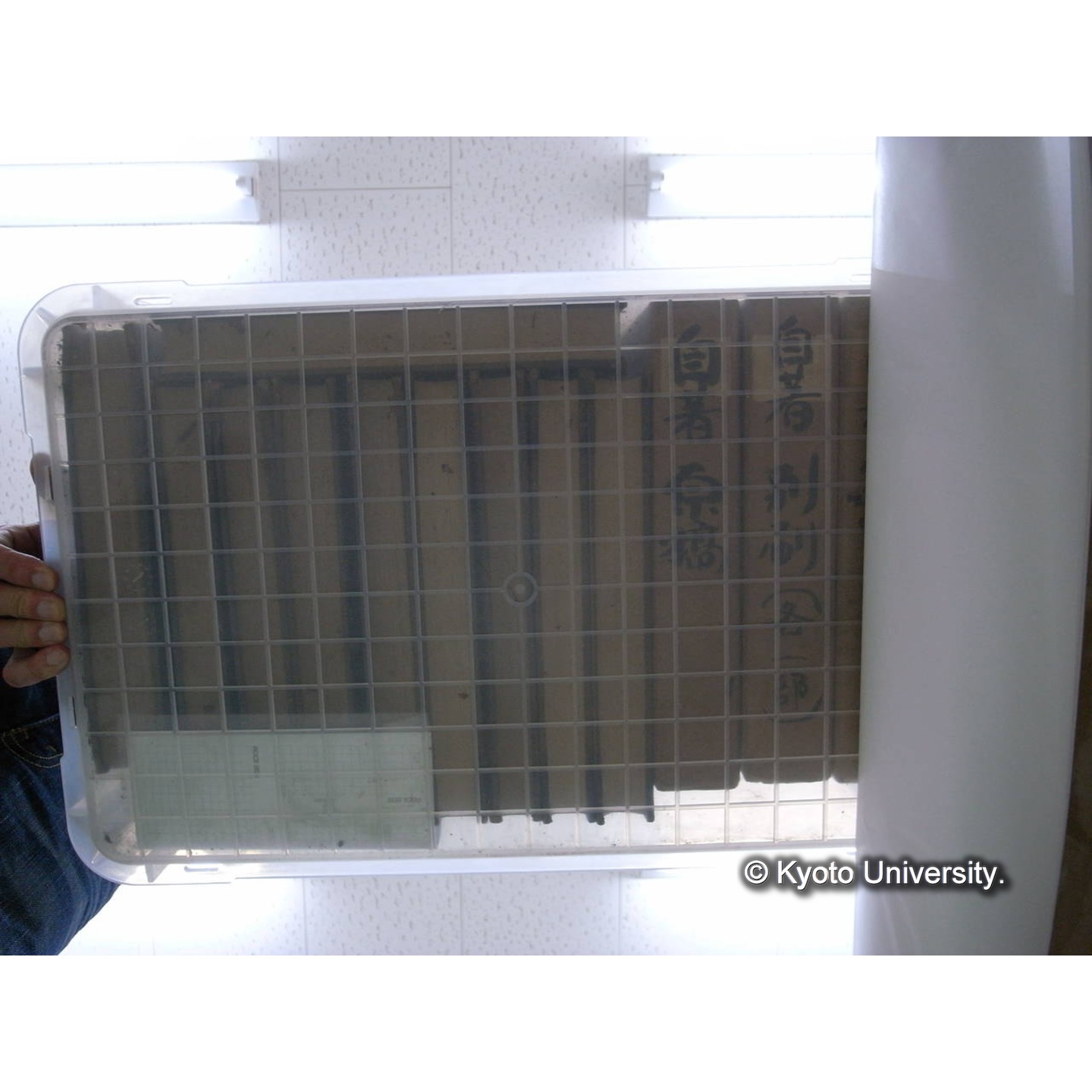 [ロックボックス](側面 : ラベル「川村多實二先生 / 3/3」2枚) (3)