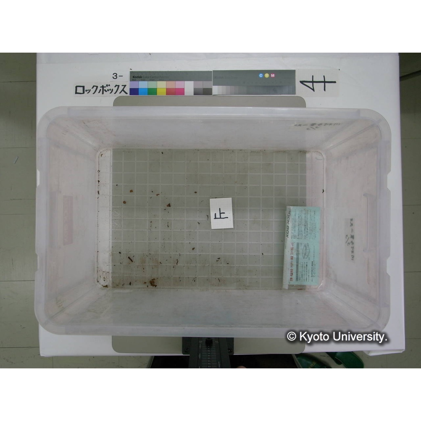 [ロックボックス](側面 : ラベル「川村多實二先生 / 3/3」2枚) (13)