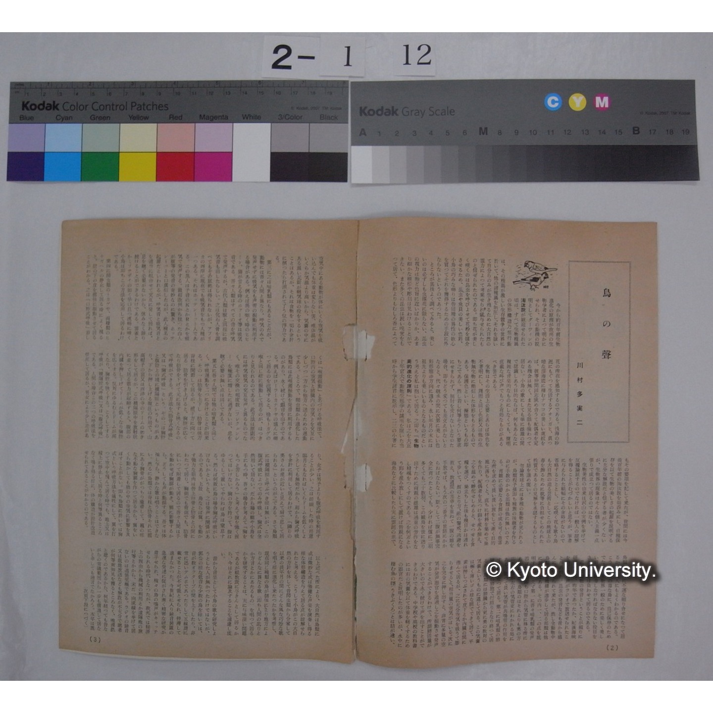 ていじん 20巻9号 / 帝国人造絹絲株式会社 (部分) (3)