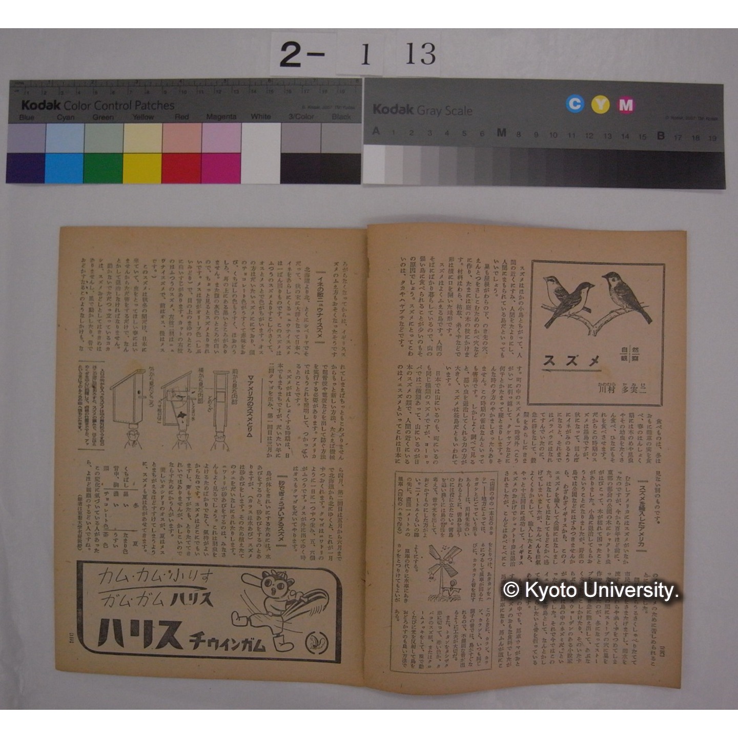 少年朝日 11巻19号(昭和24.10) / 朝日新聞社 (部分) (2)