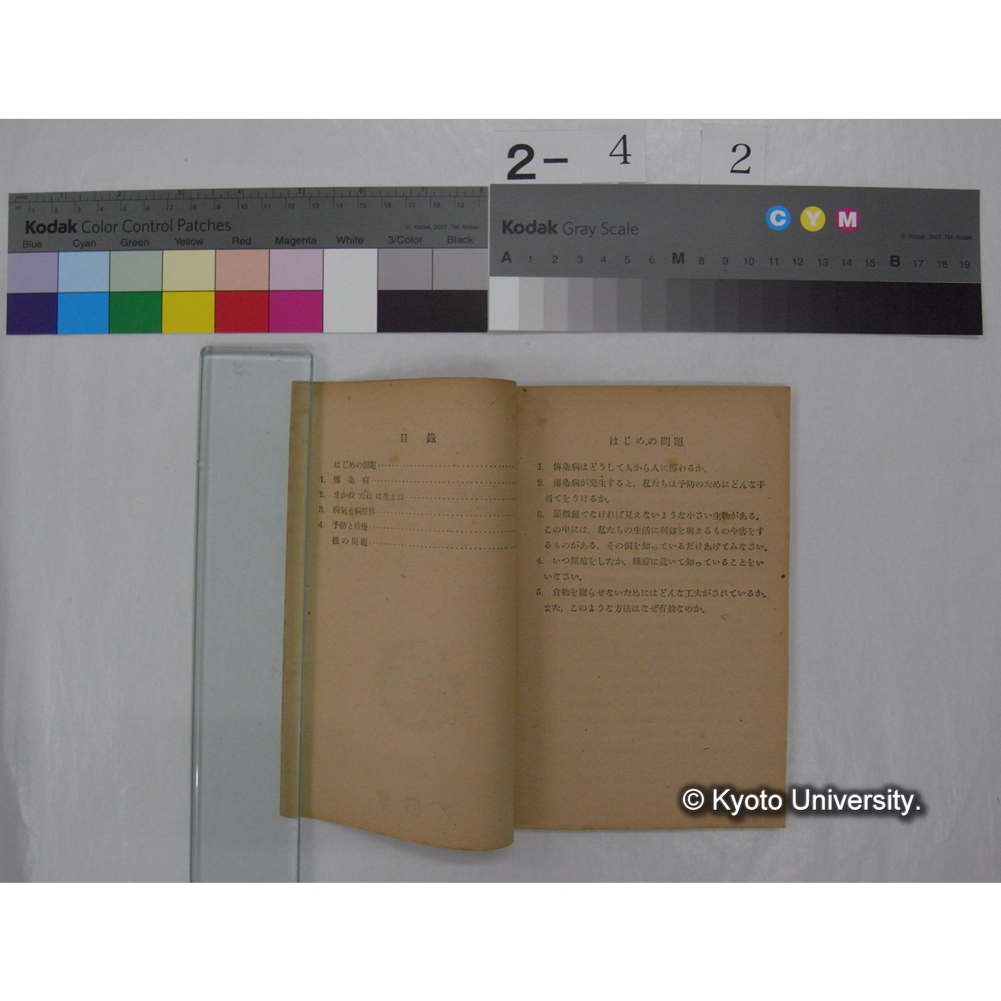 人と微生物とのたたかい : 中学校第3学年用 / 文部省 (私たちの科学; 17 ) (2)