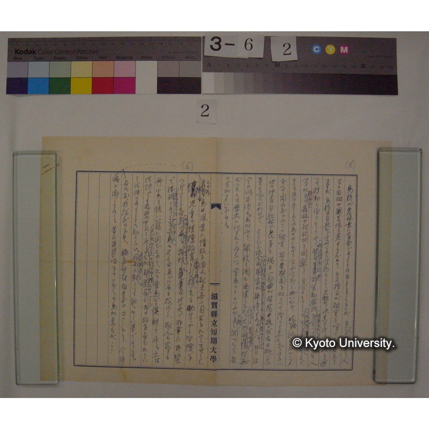 愛鳥週間講話 (昭和33年5月11日 新日本) / (川村多實二) [直筆原稿] (3)