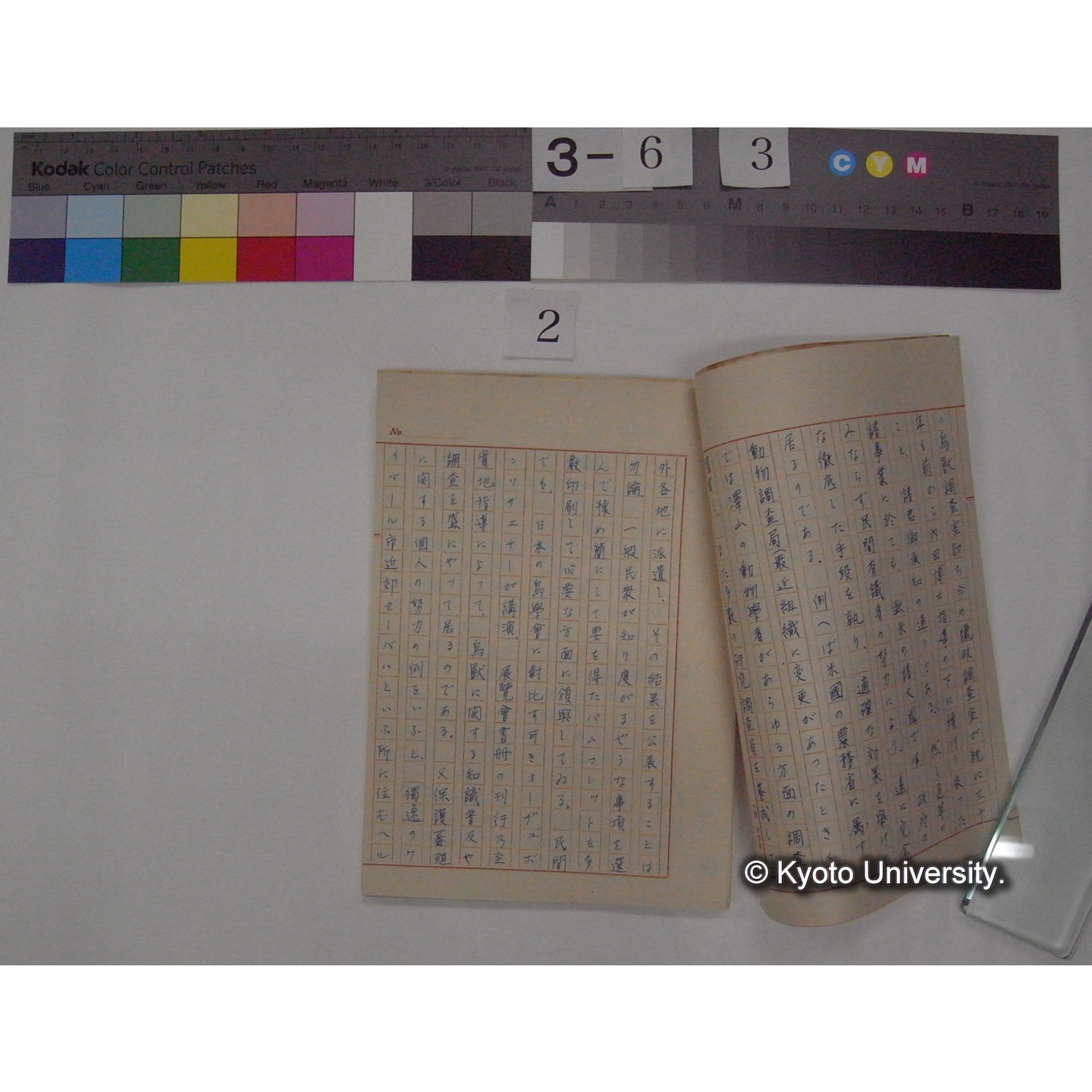 動物愛護と教育 : その狩猟との関係 (2作)/ (川村多實二) [原稿] (2)