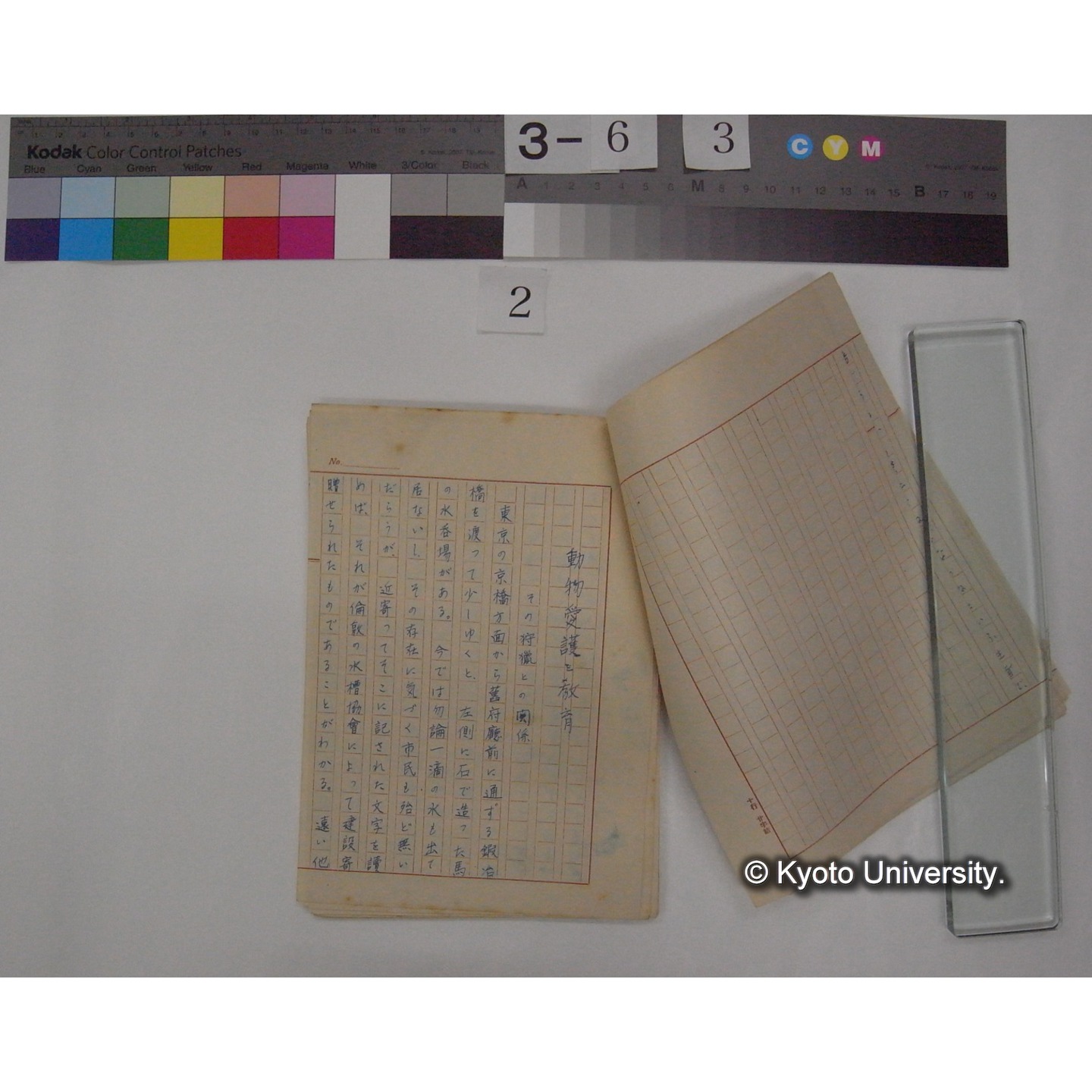 動物愛護と教育 : その狩猟との関係 (2作)/ (川村多實二) [原稿] (4)