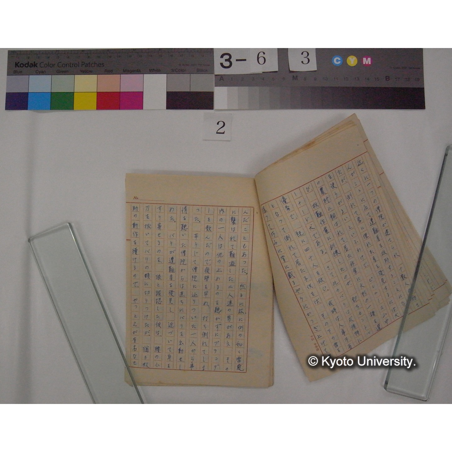 動物愛護と教育 : その狩猟との関係 (2作)/ (川村多實二) [原稿] (5)