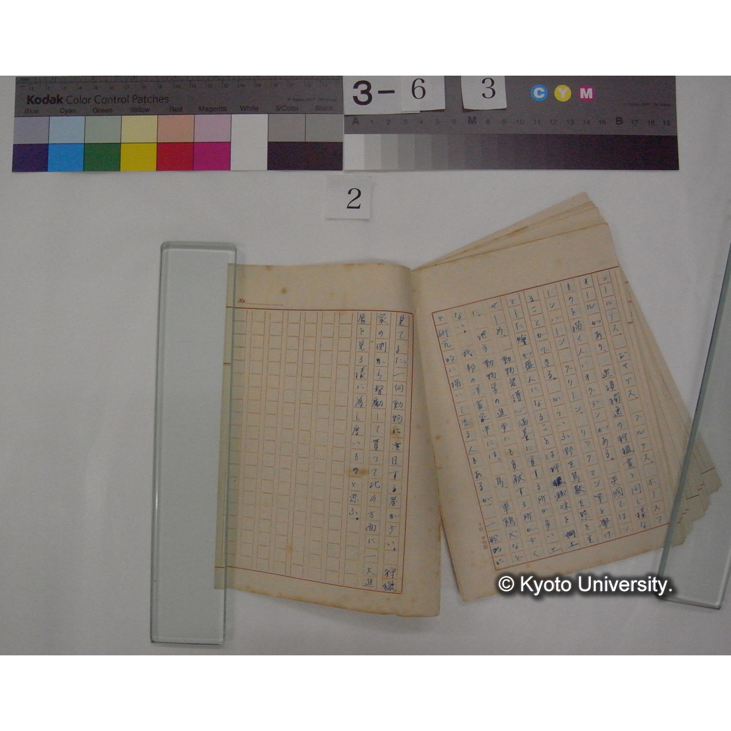 動物愛護と教育 : その狩猟との関係 (2作)/ (川村多實二) [原稿] (7)