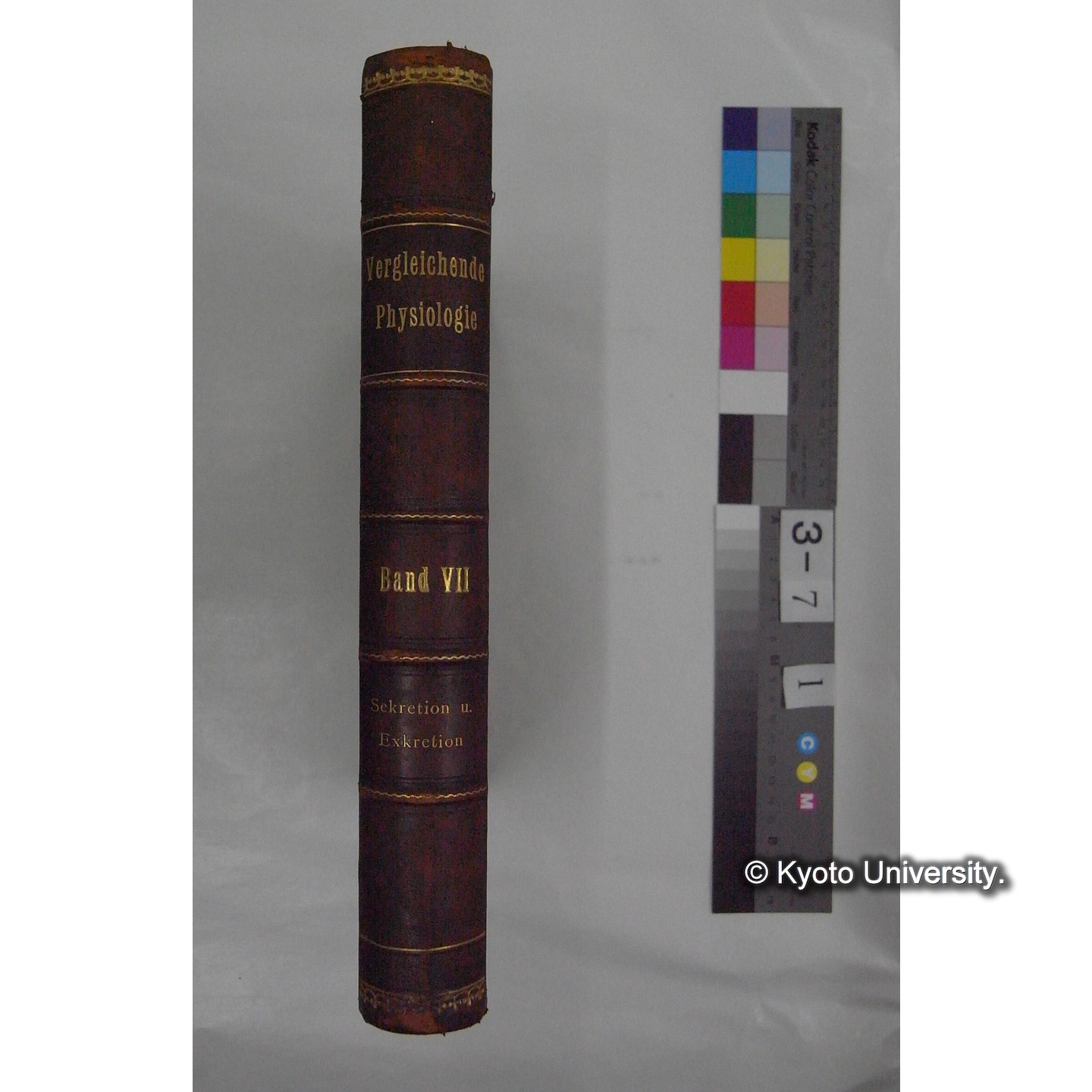 Vergleichende Physiologie (Band7: Sekretion u. Exkretion) (比較生理学 巻7 分泌と排出) [翻訳ノート製本か] (1)