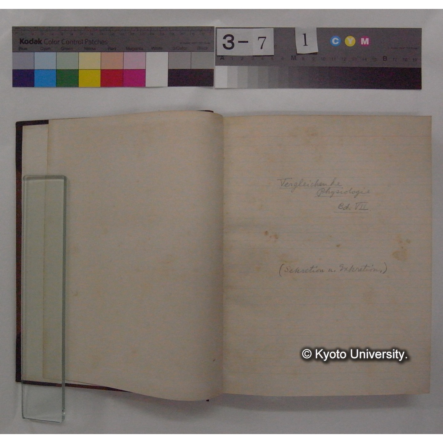 Vergleichende Physiologie (Band7: Sekretion u. Exkretion) (比較生理学 巻7 分泌と排出) [翻訳ノート製本か] (4)