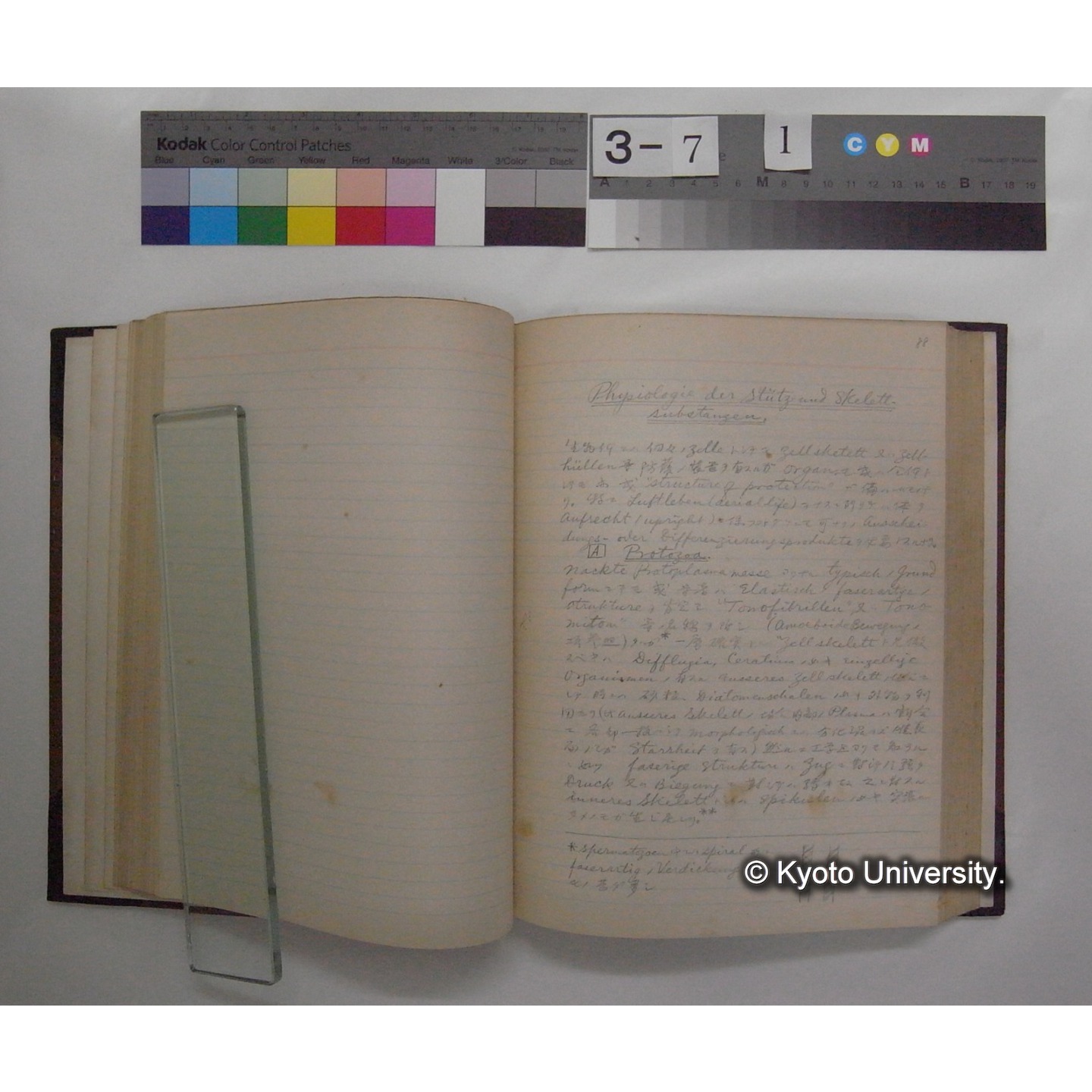 Vergleichende Physiologie (Band7: Sekretion u. Exkretion) (比較生理学 巻7 分泌と排出) [翻訳ノート製本か] (12)