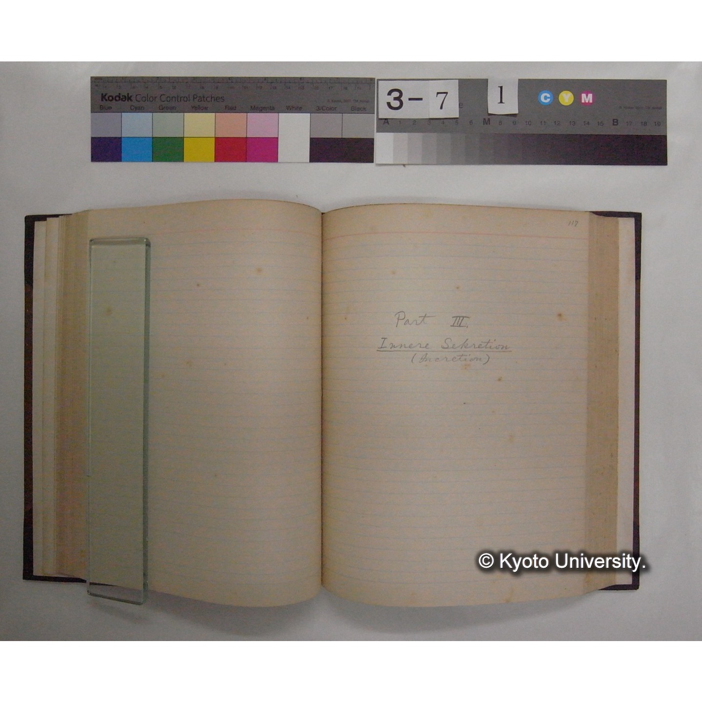 Vergleichende Physiologie (Band7: Sekretion u. Exkretion) (比較生理学 巻7 分泌と排出) [翻訳ノート製本か] (13)