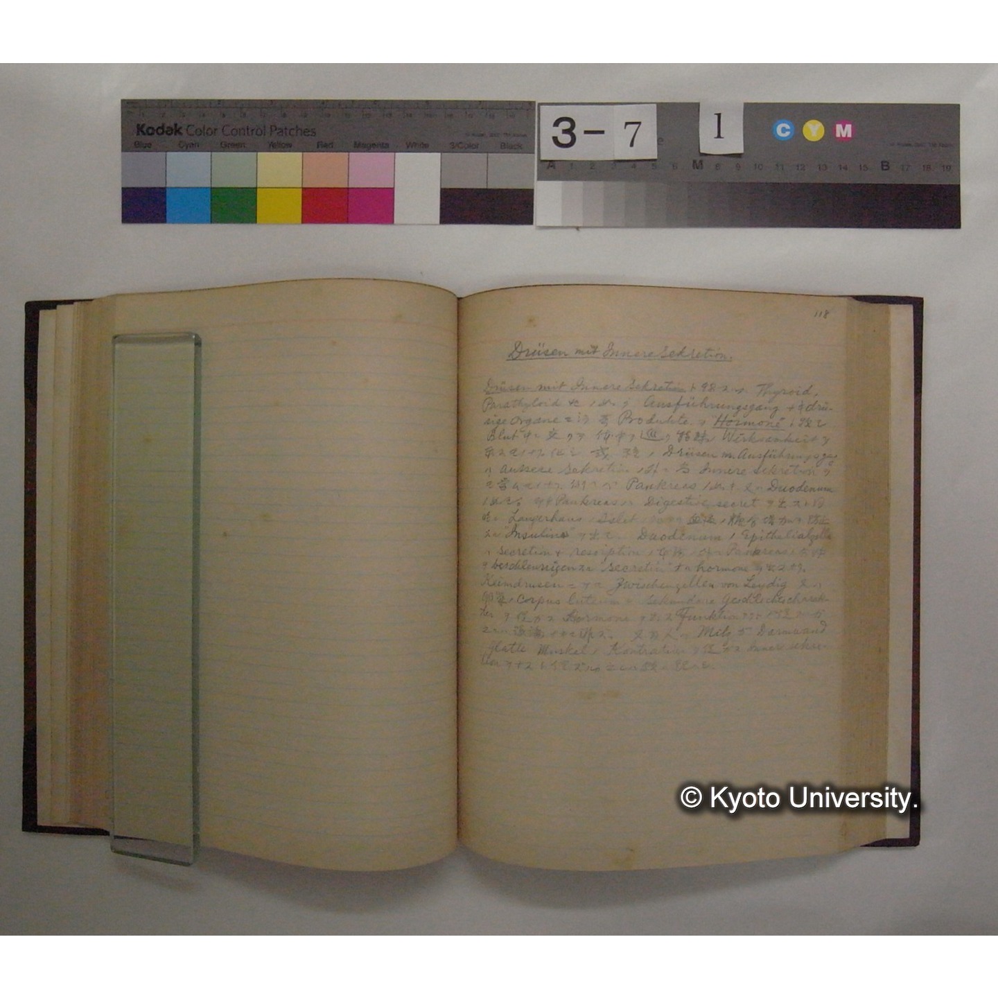 Vergleichende Physiologie (Band7: Sekretion u. Exkretion) (比較生理学 巻7 分泌と排出) [翻訳ノート製本か] (14)