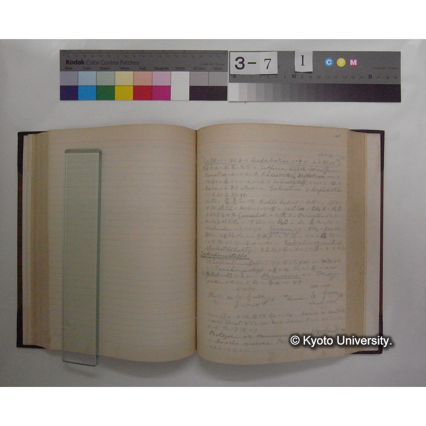 Vergleichende Physiologie (Band7: Sekretion u. Exkretion) (比較生理学 巻7 分泌と排出) [翻訳ノート製本か] (17)