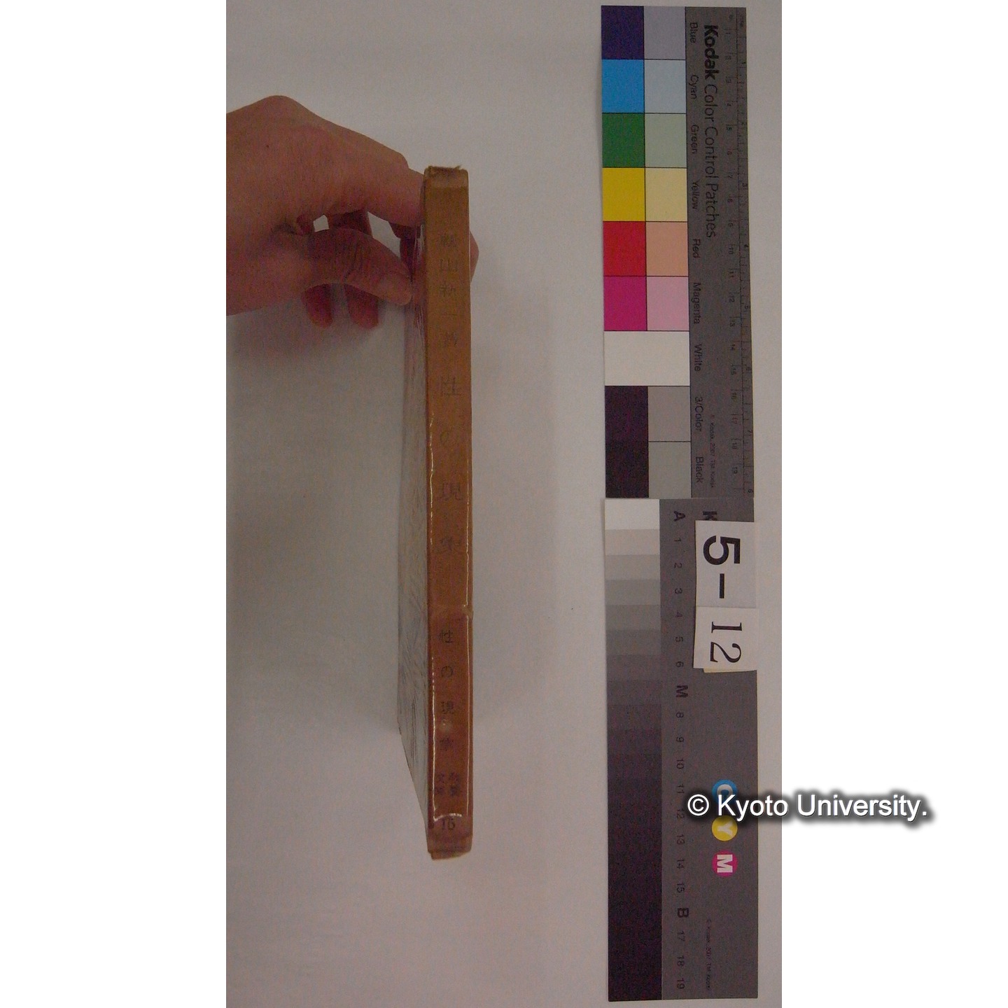 性の現象 / 朝山新一著 (教養文庫 ; 第15) (3)