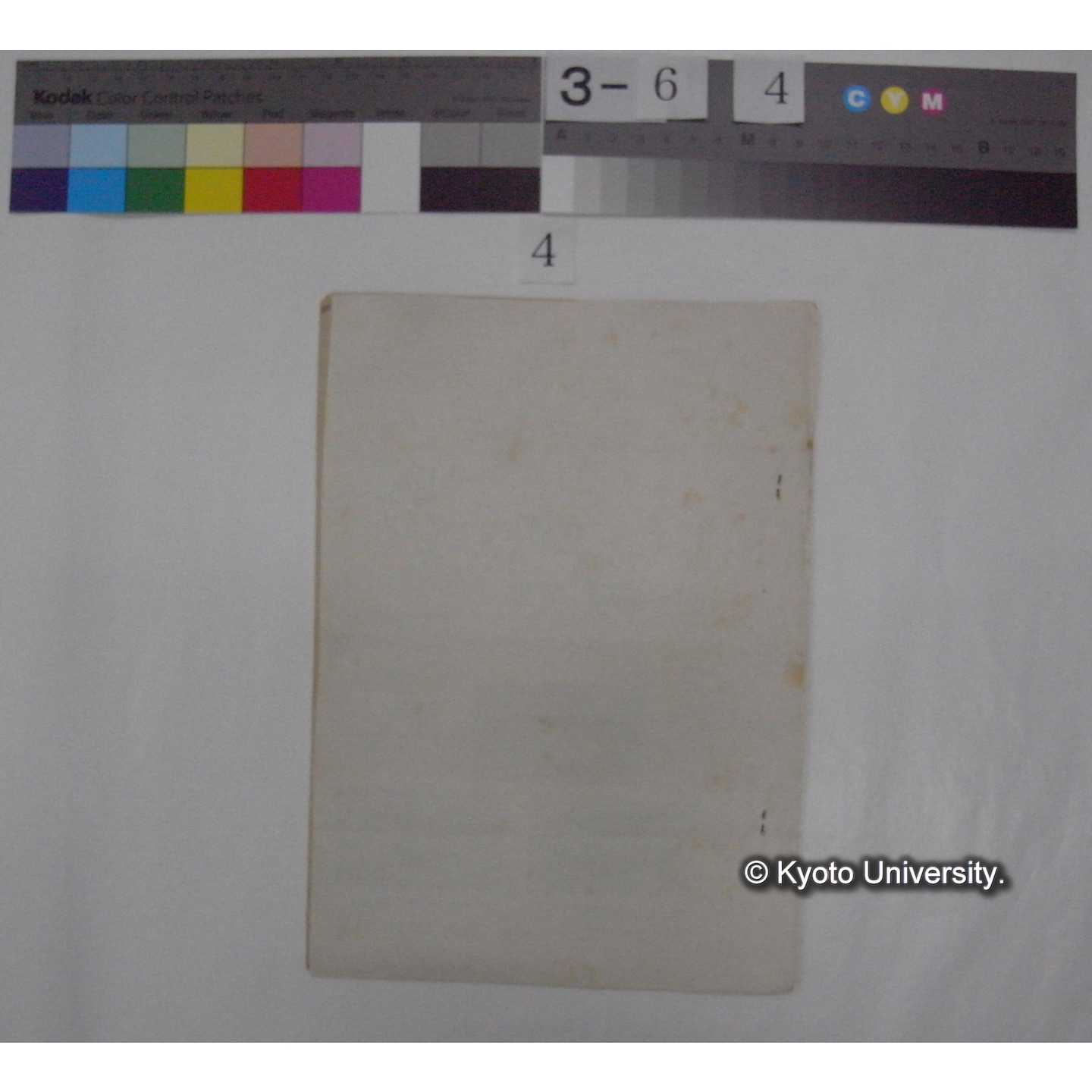 三重県に棲息又は渡来するGRESSORES(鶴鷺目)LOIMICOLEA(鷸目)の実態調査 : 宮川川口附近の季節的数量的考察 / 橋本太郎 (三重県生物: 6号別刷) (5)