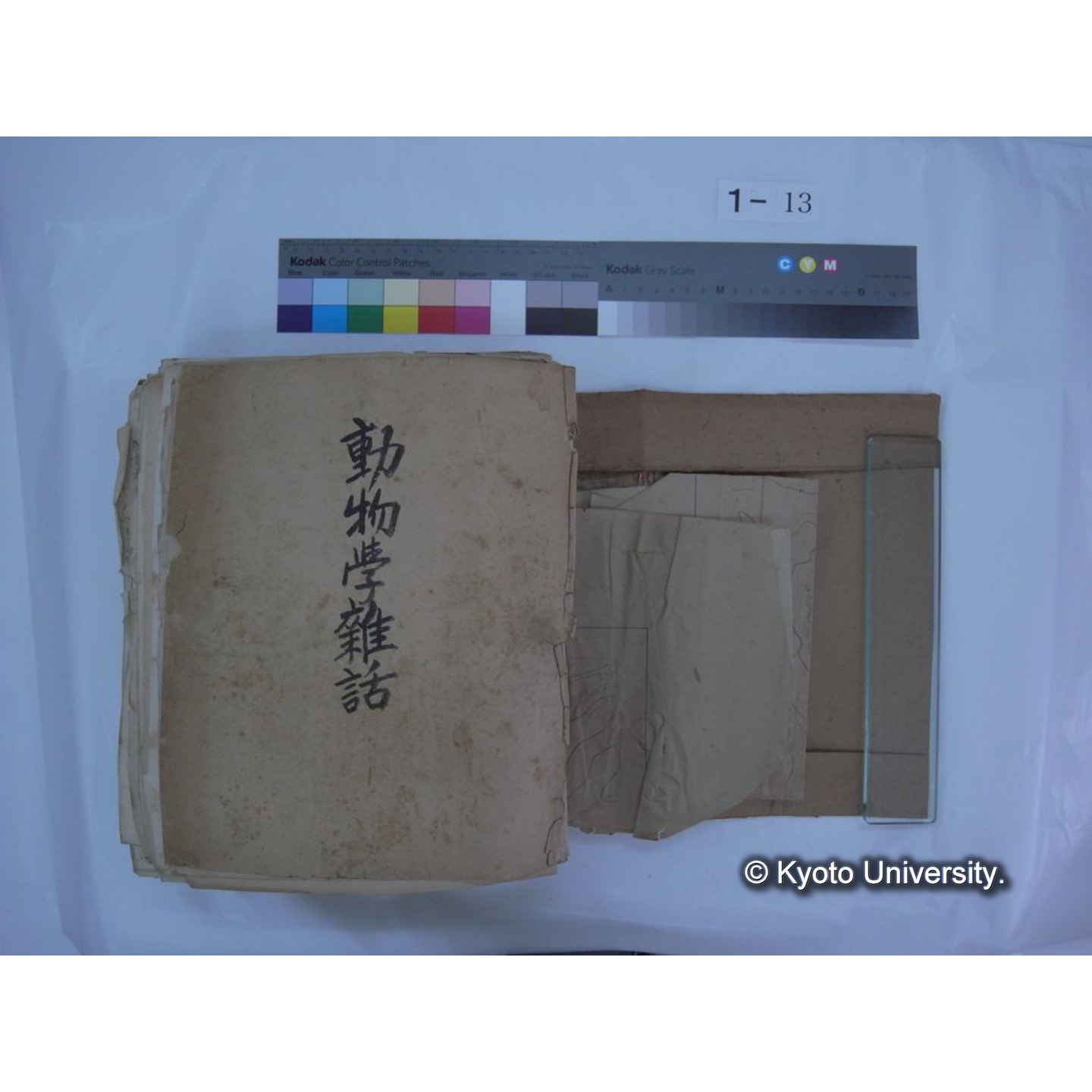 自著旧文 [直筆・著作複写・抜き刷りなど] / 川村多實二 (7)