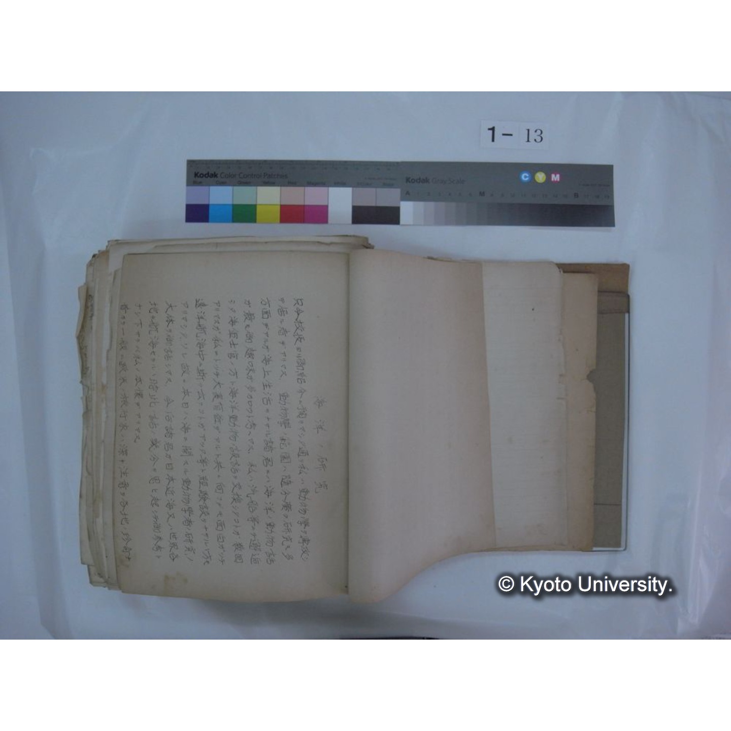 自著旧文 [直筆・著作複写・抜き刷りなど] / 川村多實二 (10)