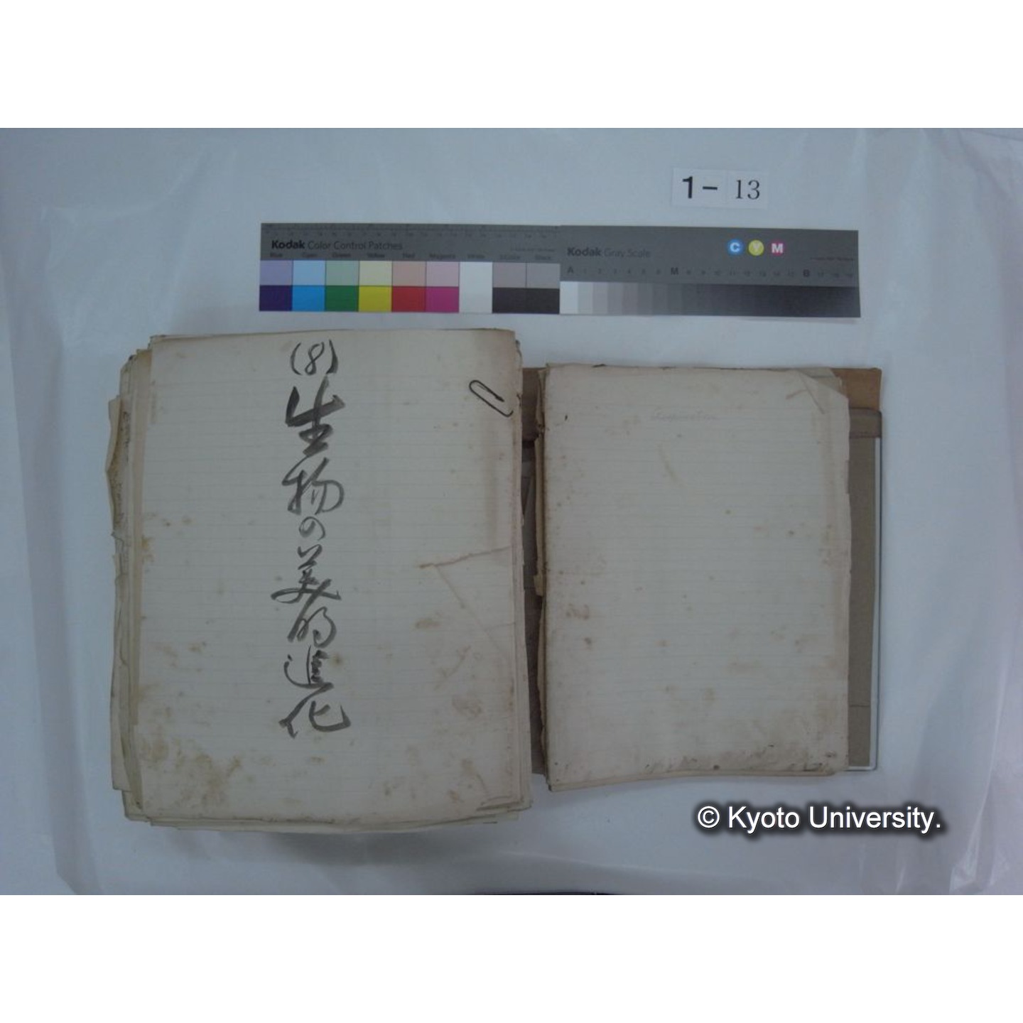 自著旧文 [直筆・著作複写・抜き刷りなど] / 川村多實二 (11)