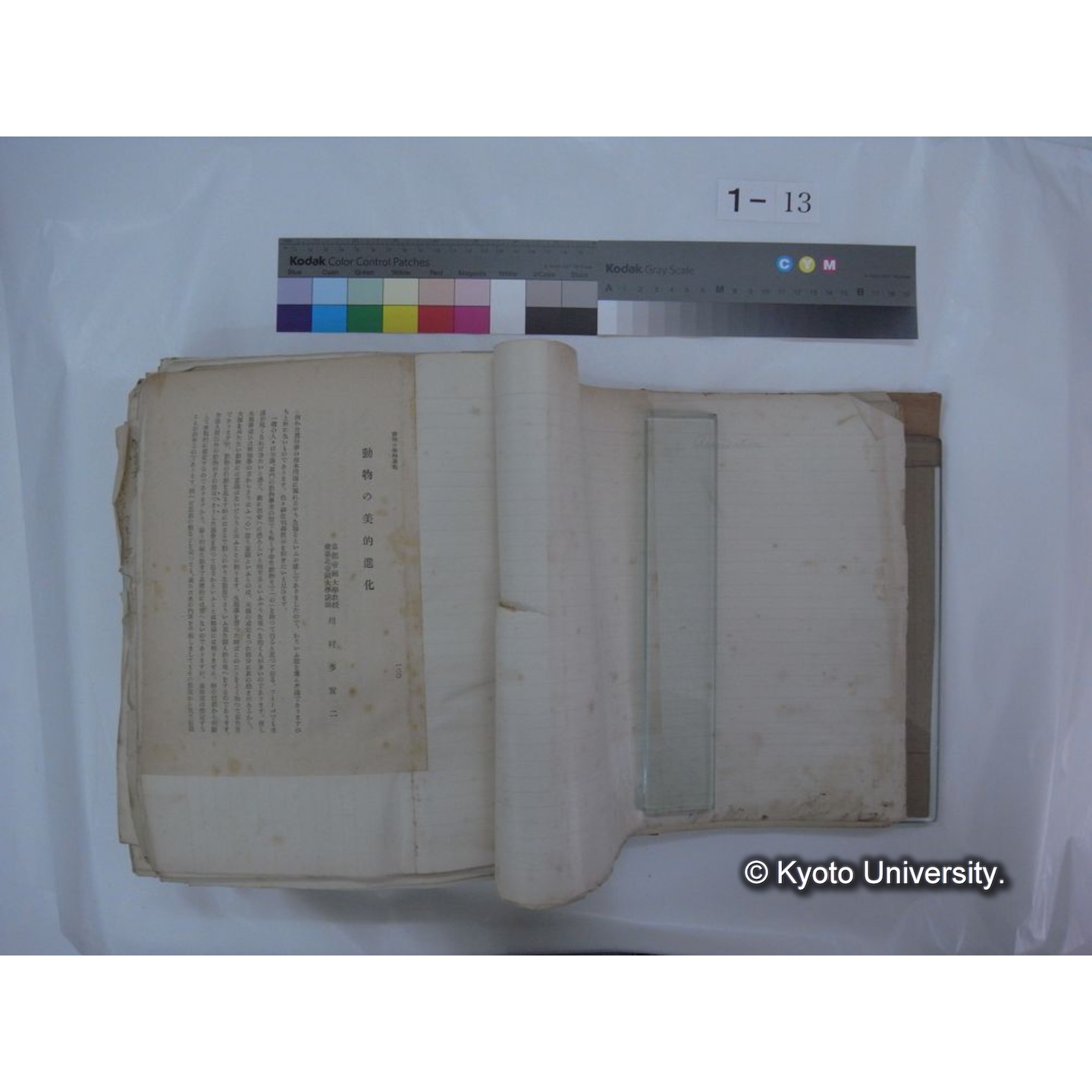 自著旧文 [直筆・著作複写・抜き刷りなど] / 川村多實二 (12)