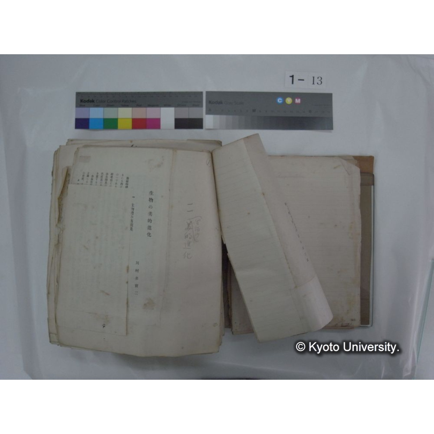 自著旧文 [直筆・著作複写・抜き刷りなど] / 川村多實二 (13)