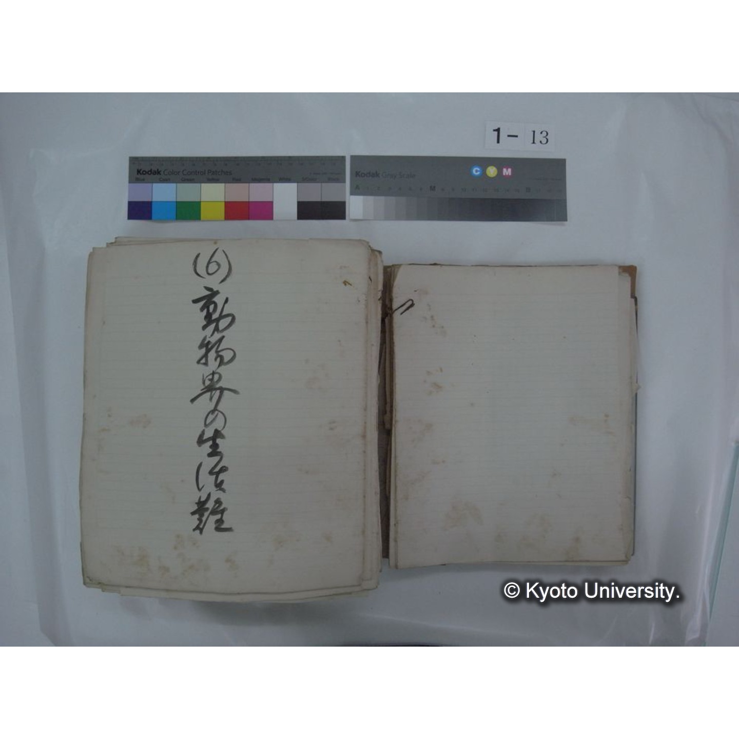 自著旧文 [直筆・著作複写・抜き刷りなど] / 川村多實二 (15)