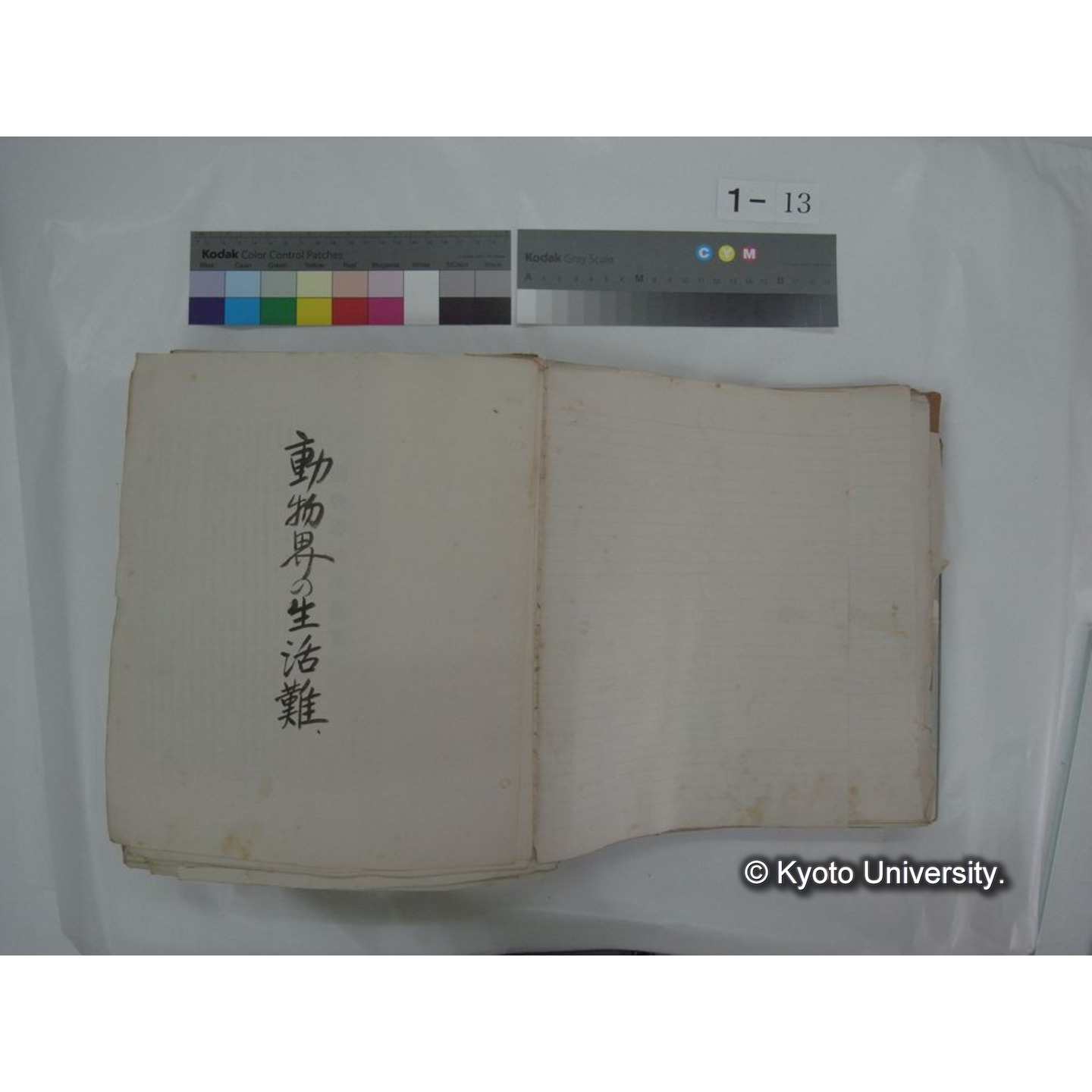 自著旧文 [直筆・著作複写・抜き刷りなど] / 川村多實二 (16)