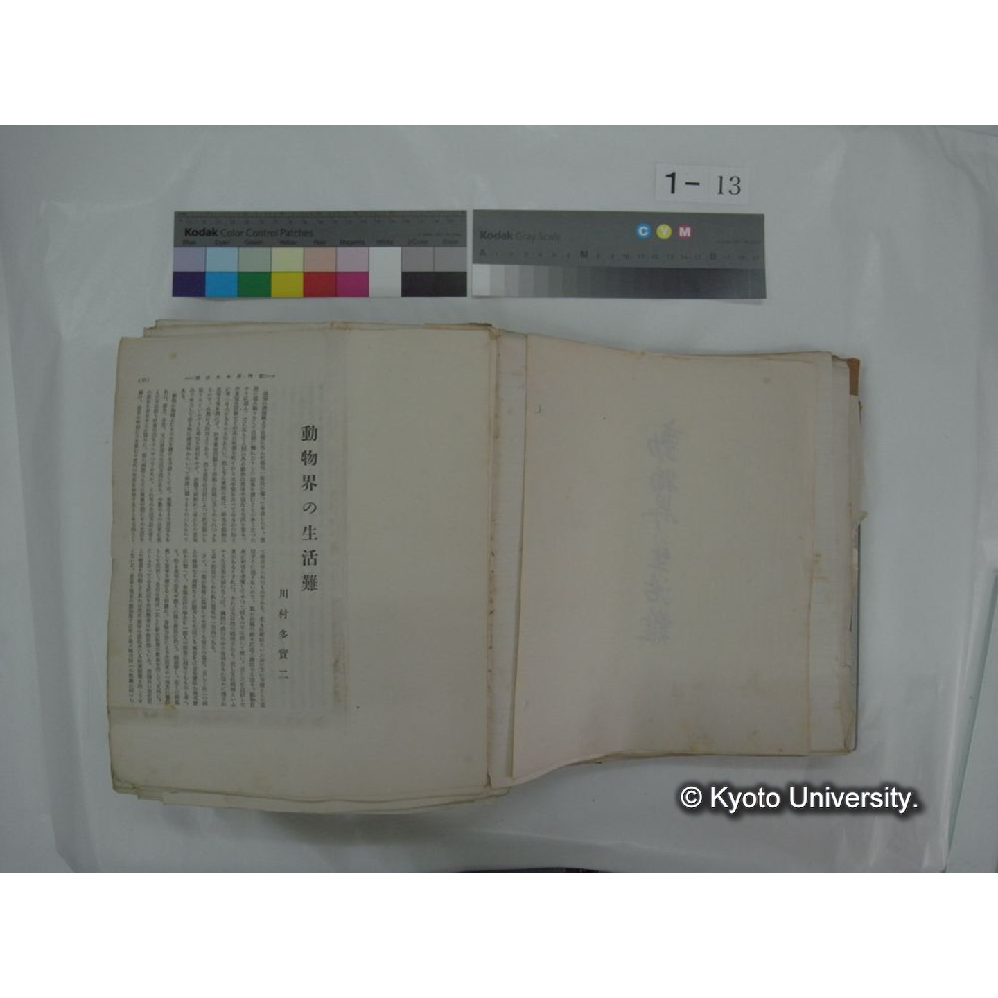 自著旧文 [直筆・著作複写・抜き刷りなど] / 川村多實二 (17)