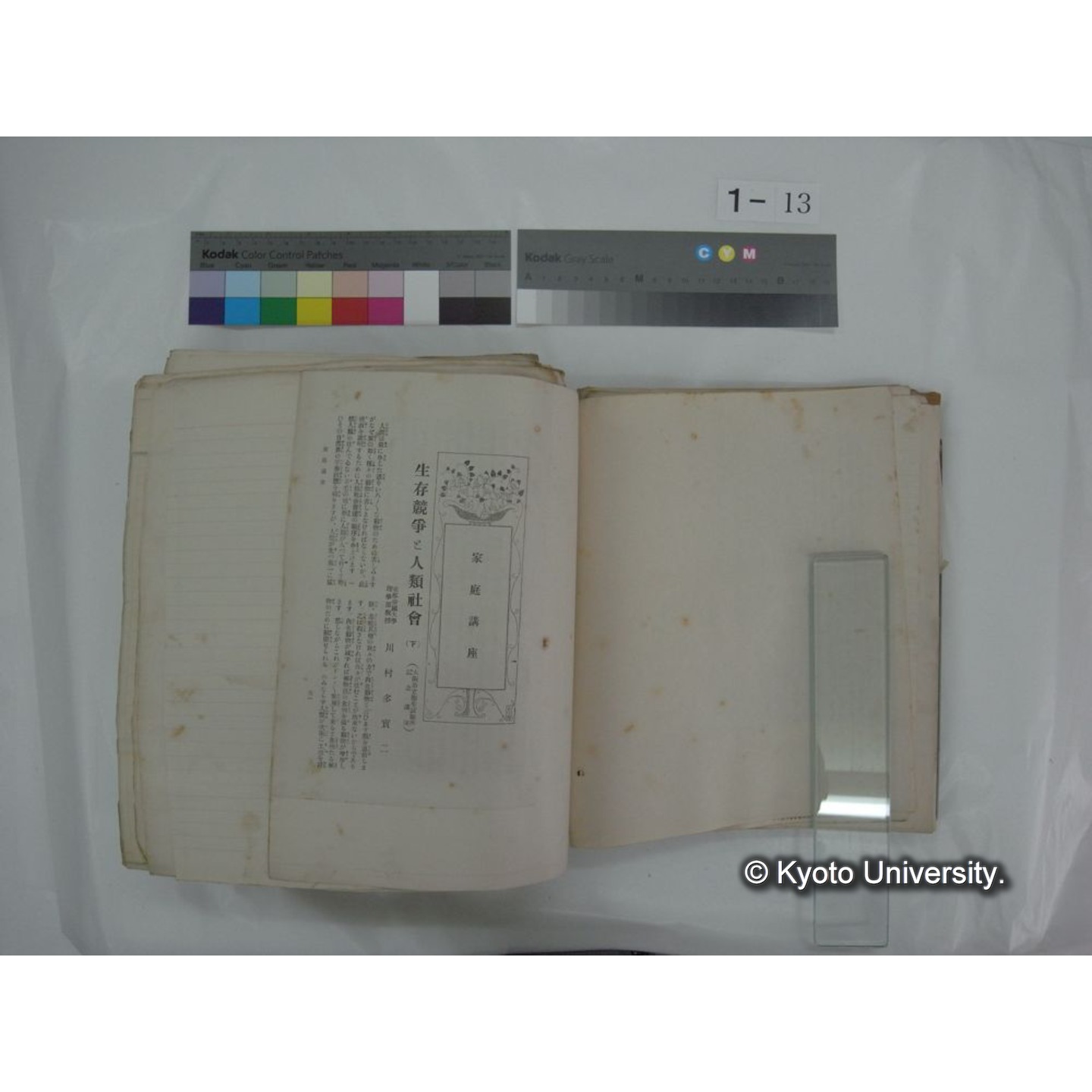 自著旧文 [直筆・著作複写・抜き刷りなど] / 川村多實二 (19)