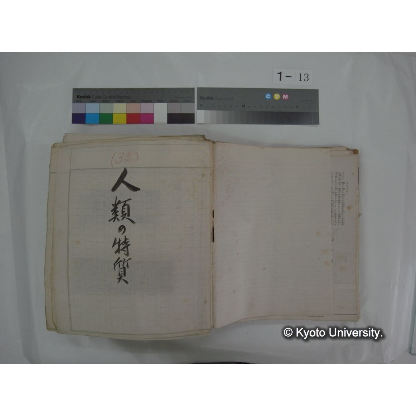 自著旧文 [直筆・著作複写・抜き刷りなど] / 川村多實二 (21)