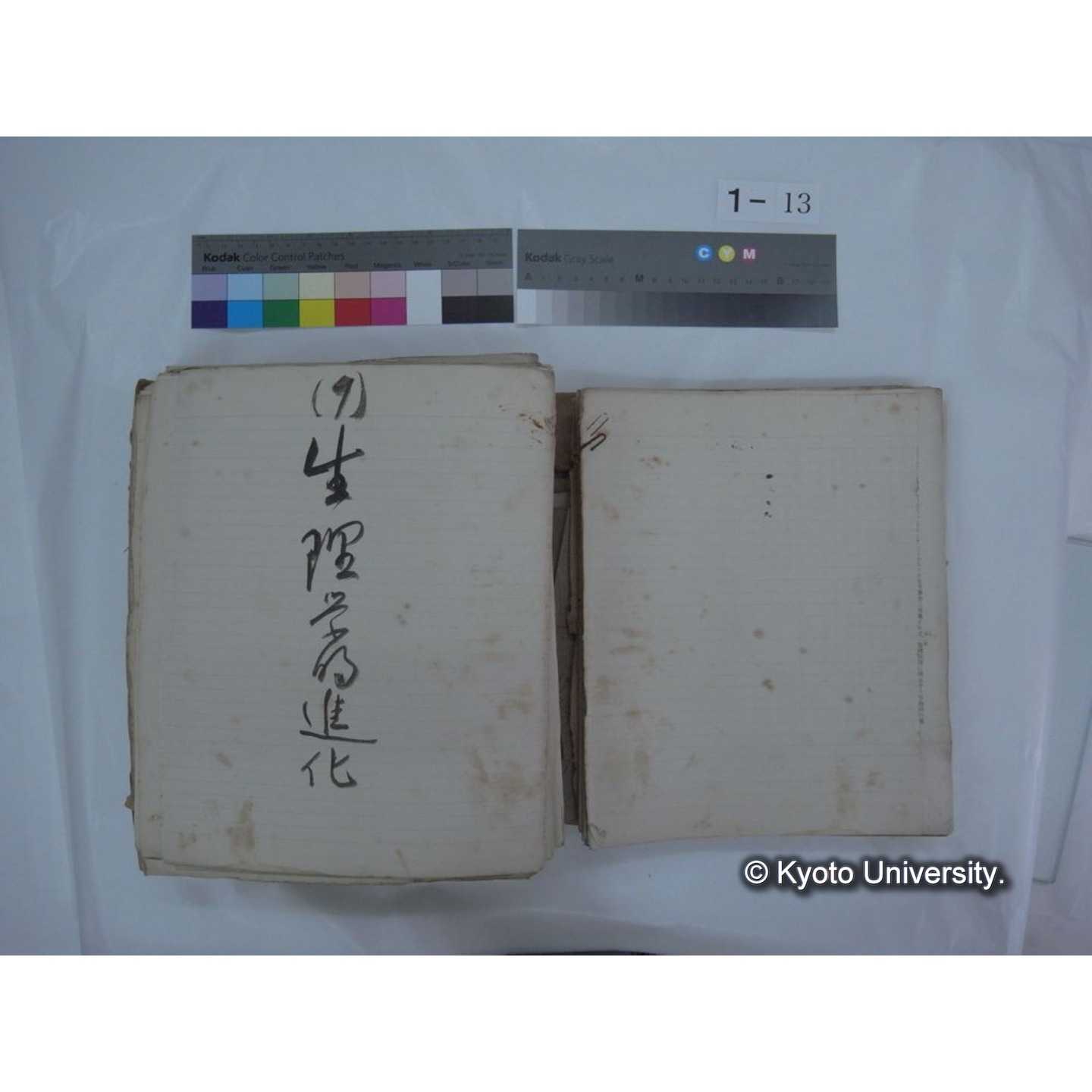 自著旧文 [直筆・著作複写・抜き刷りなど] / 川村多實二 (26)