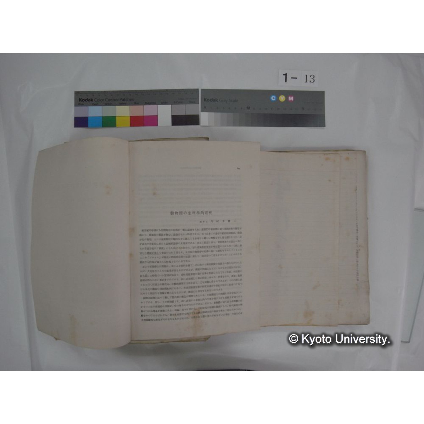 自著旧文 [直筆・著作複写・抜き刷りなど] / 川村多實二 (28)