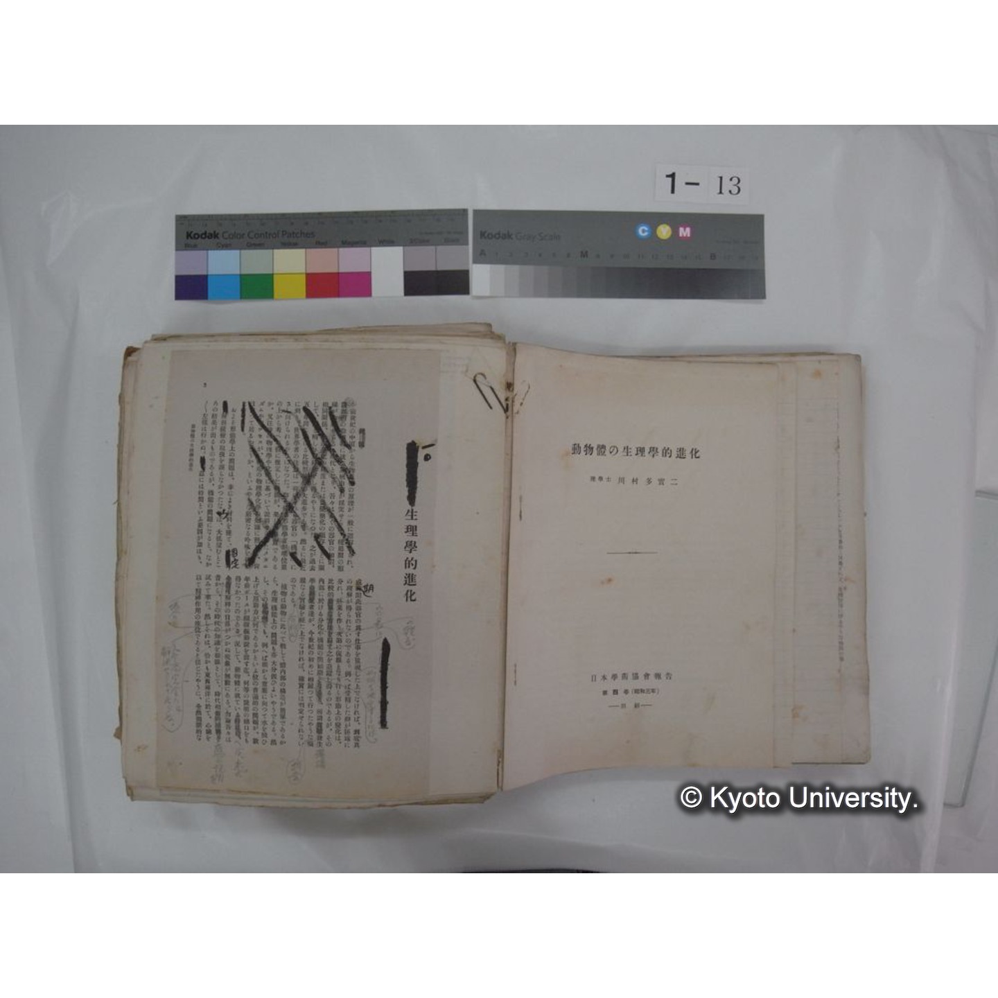 自著旧文 [直筆・著作複写・抜き刷りなど] / 川村多實二 (29)