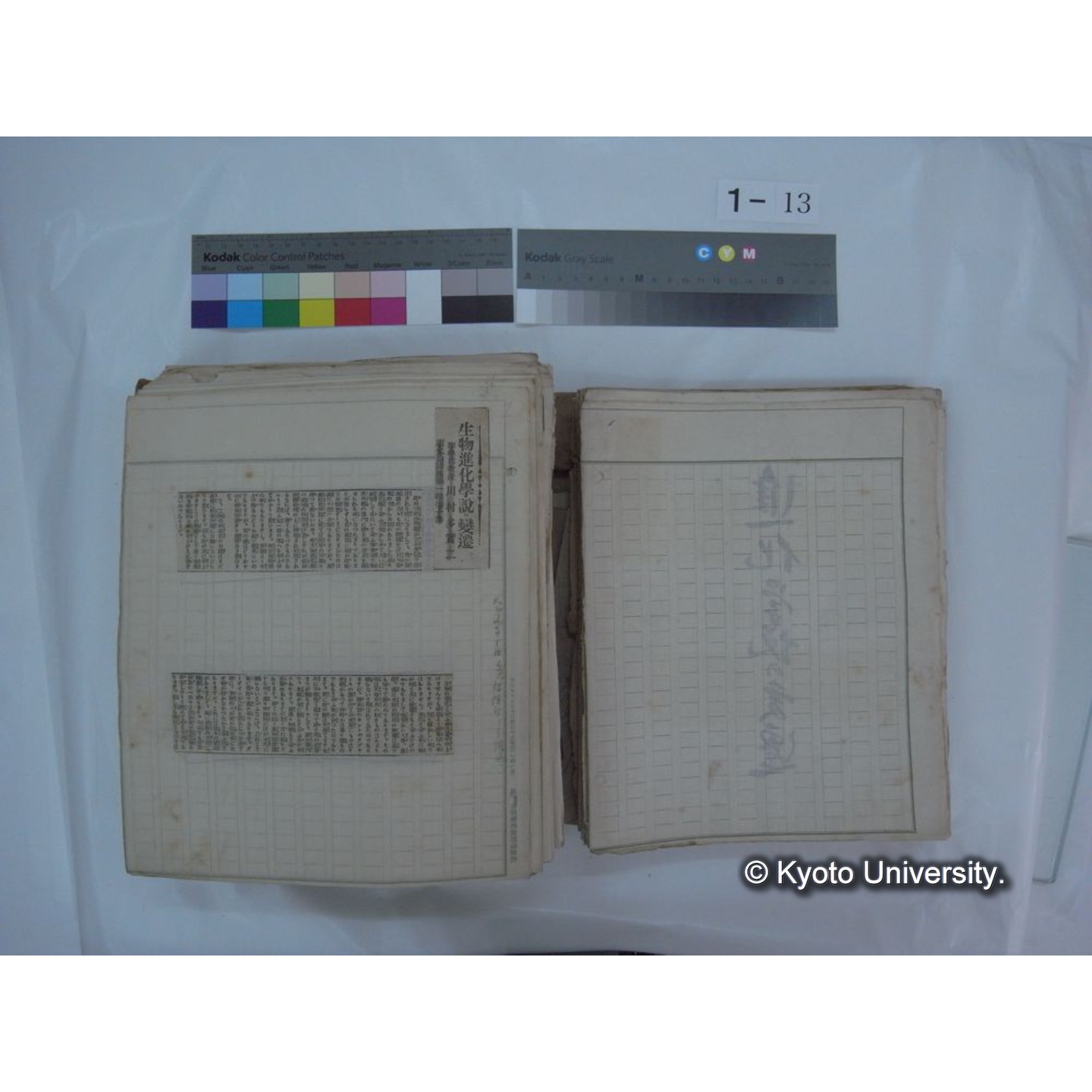 自著旧文 [直筆・著作複写・抜き刷りなど] / 川村多實二 (31)