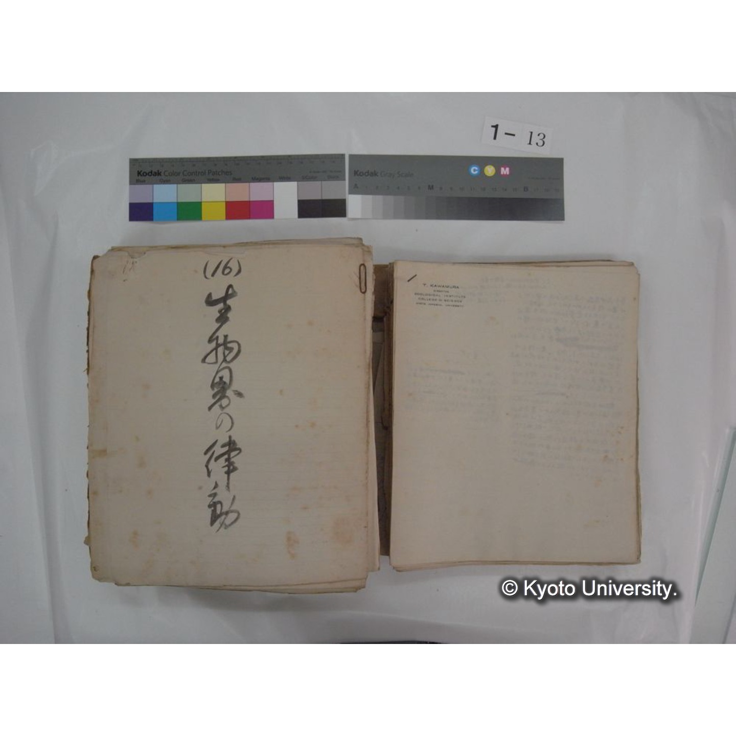 自著旧文 [直筆・著作複写・抜き刷りなど] / 川村多實二 (34)