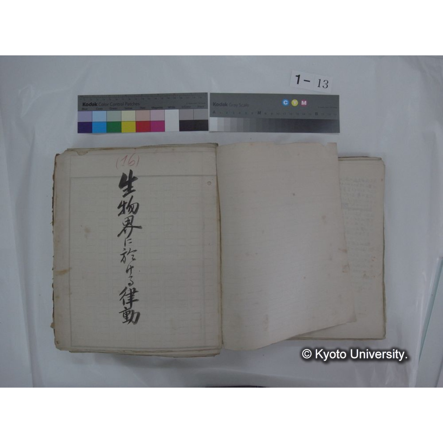 自著旧文 [直筆・著作複写・抜き刷りなど] / 川村多實二 (35)