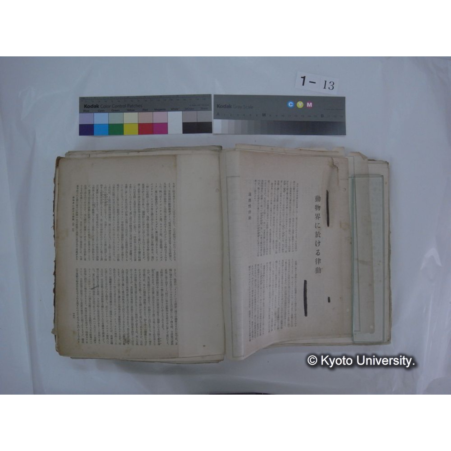 自著旧文 [直筆・著作複写・抜き刷りなど] / 川村多實二 (36)