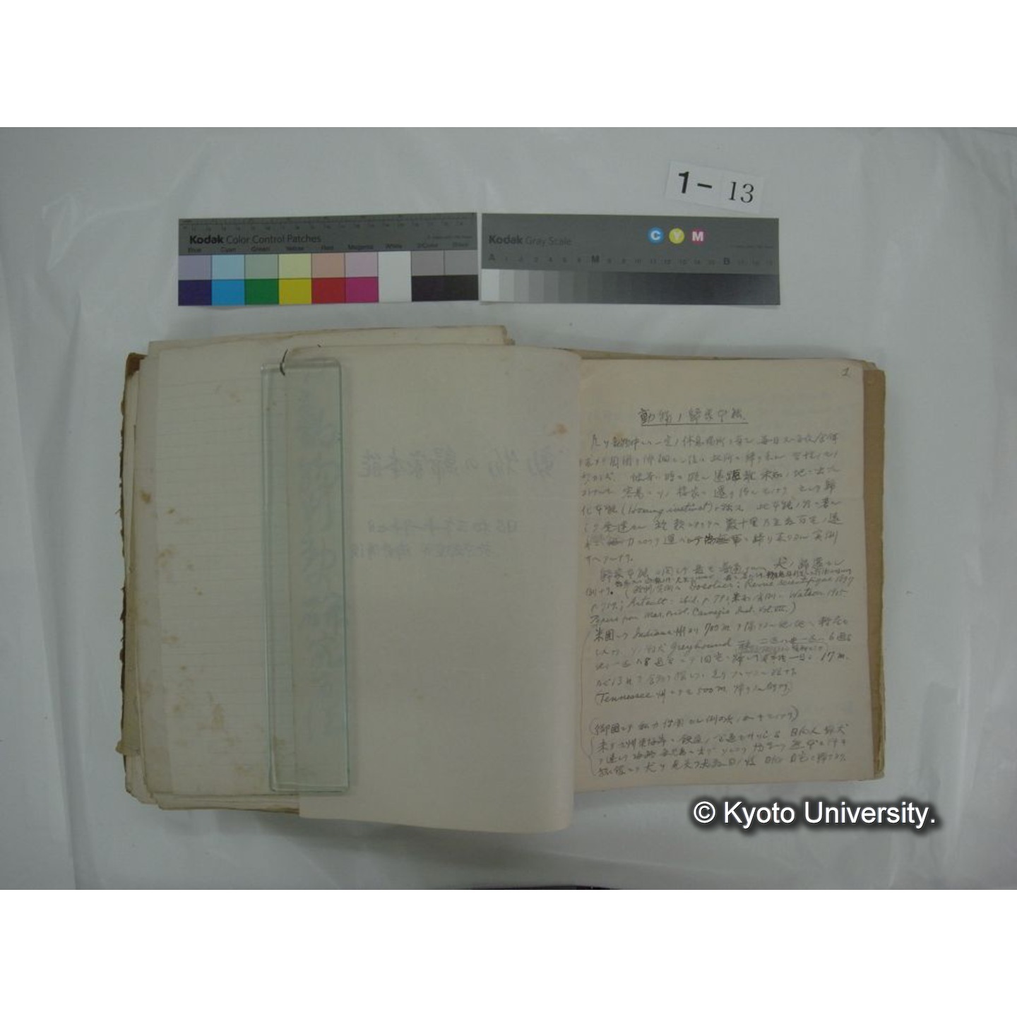 自著旧文 [直筆・著作複写・抜き刷りなど] / 川村多實二 (38)