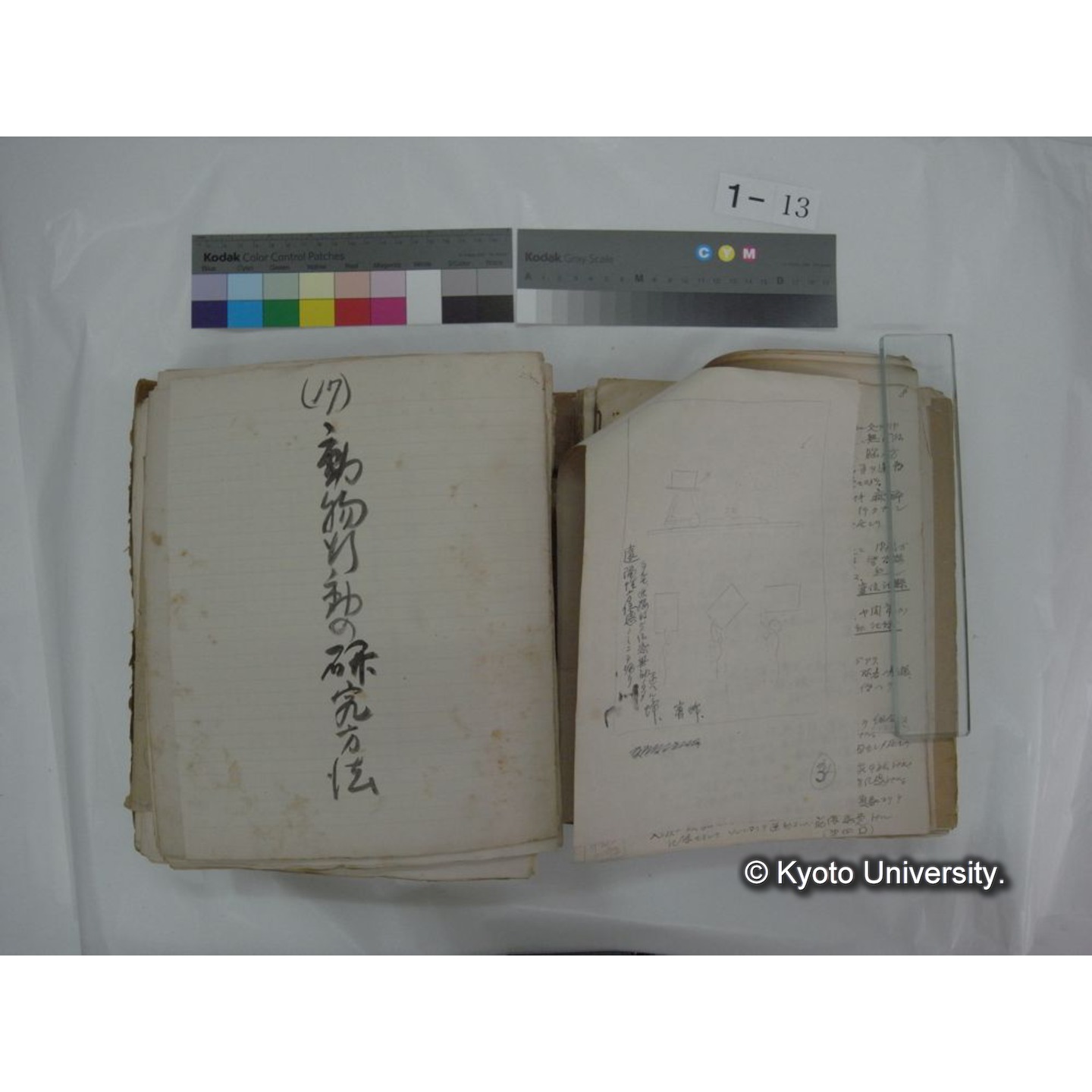 自著旧文 [直筆・著作複写・抜き刷りなど] / 川村多實二 (39)